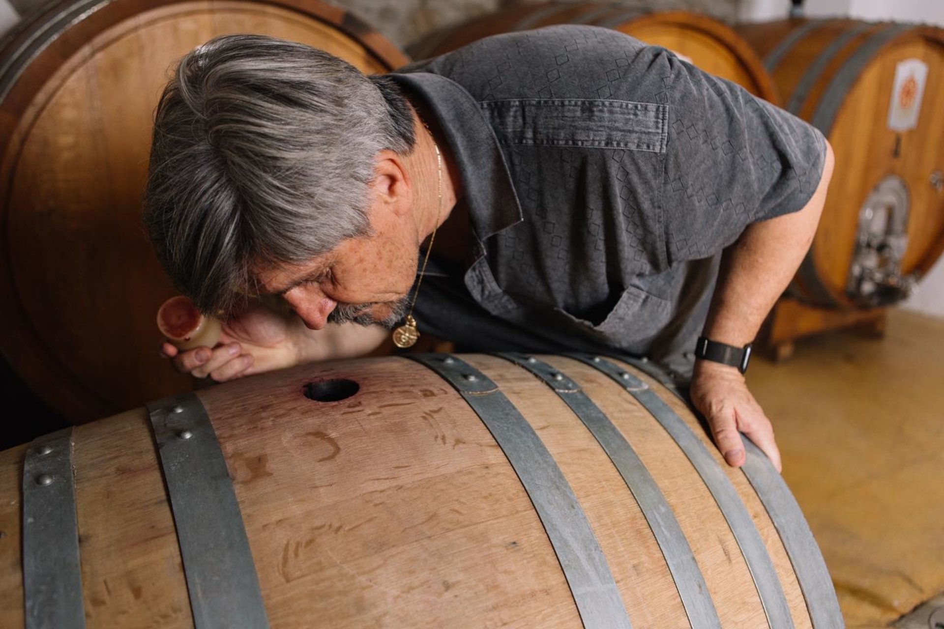 Olbia: visit to a Gallura winery with tasting - Photo 11