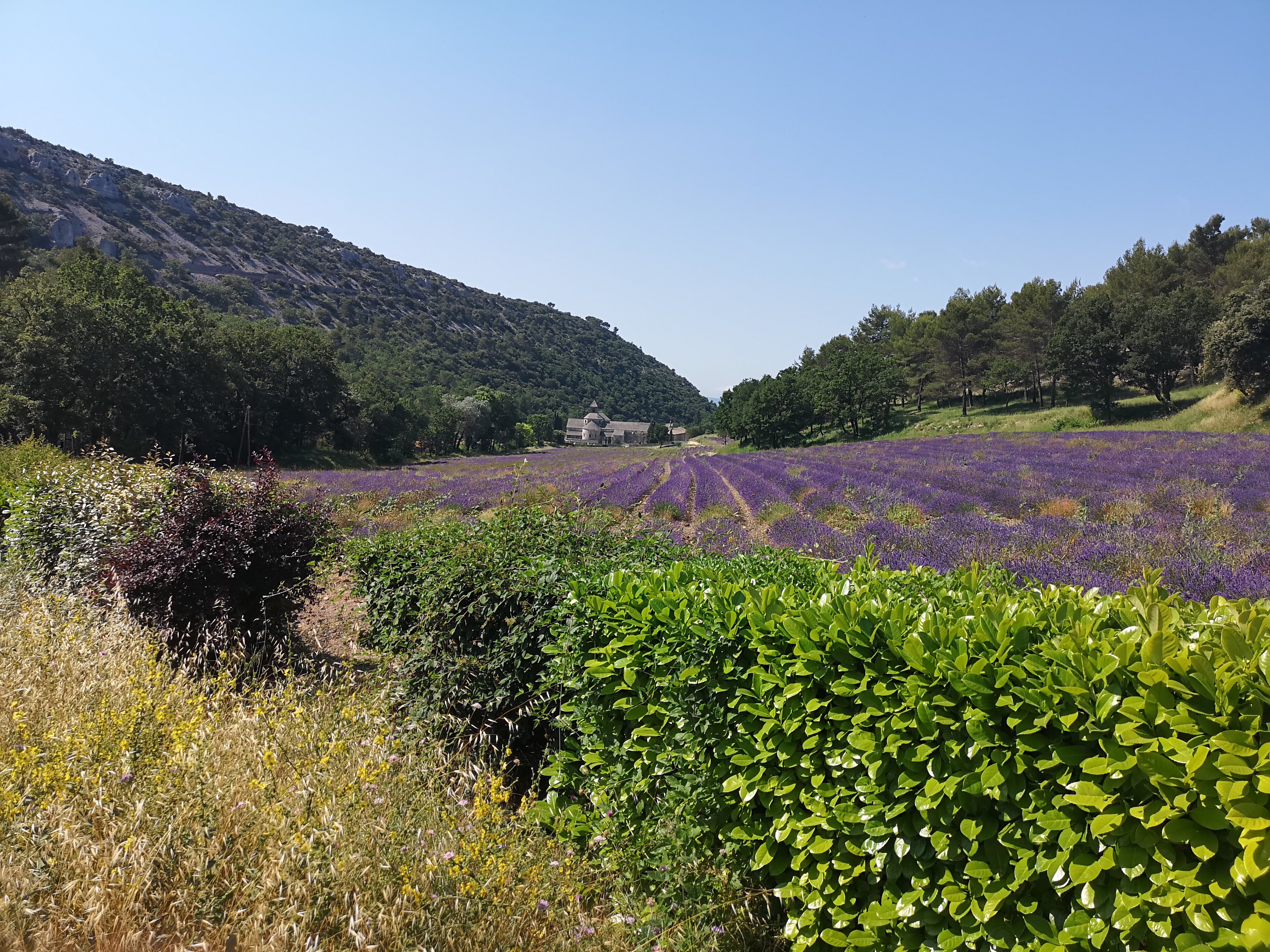 Marseille Shore Excursion: Private Day Trip to Luberon Villages - Photo 3