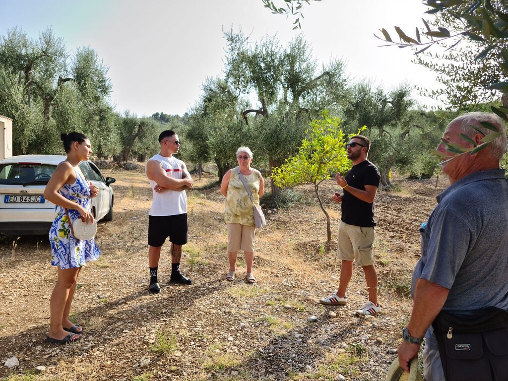 Discovering extra virgin olive oil - Photo 11