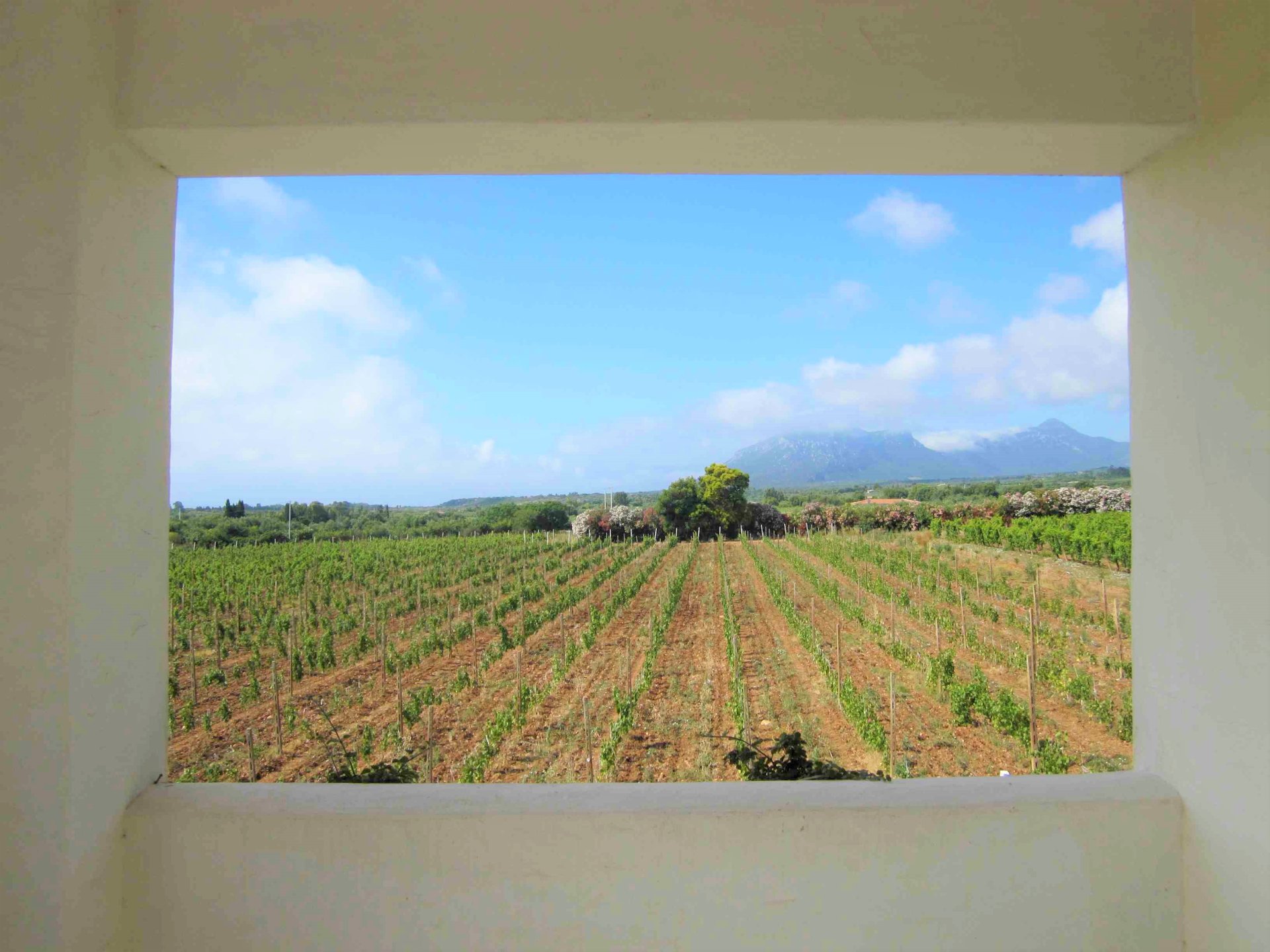 From Orosei: private jeep tour through archaeology and gastronomy - Photo 4
