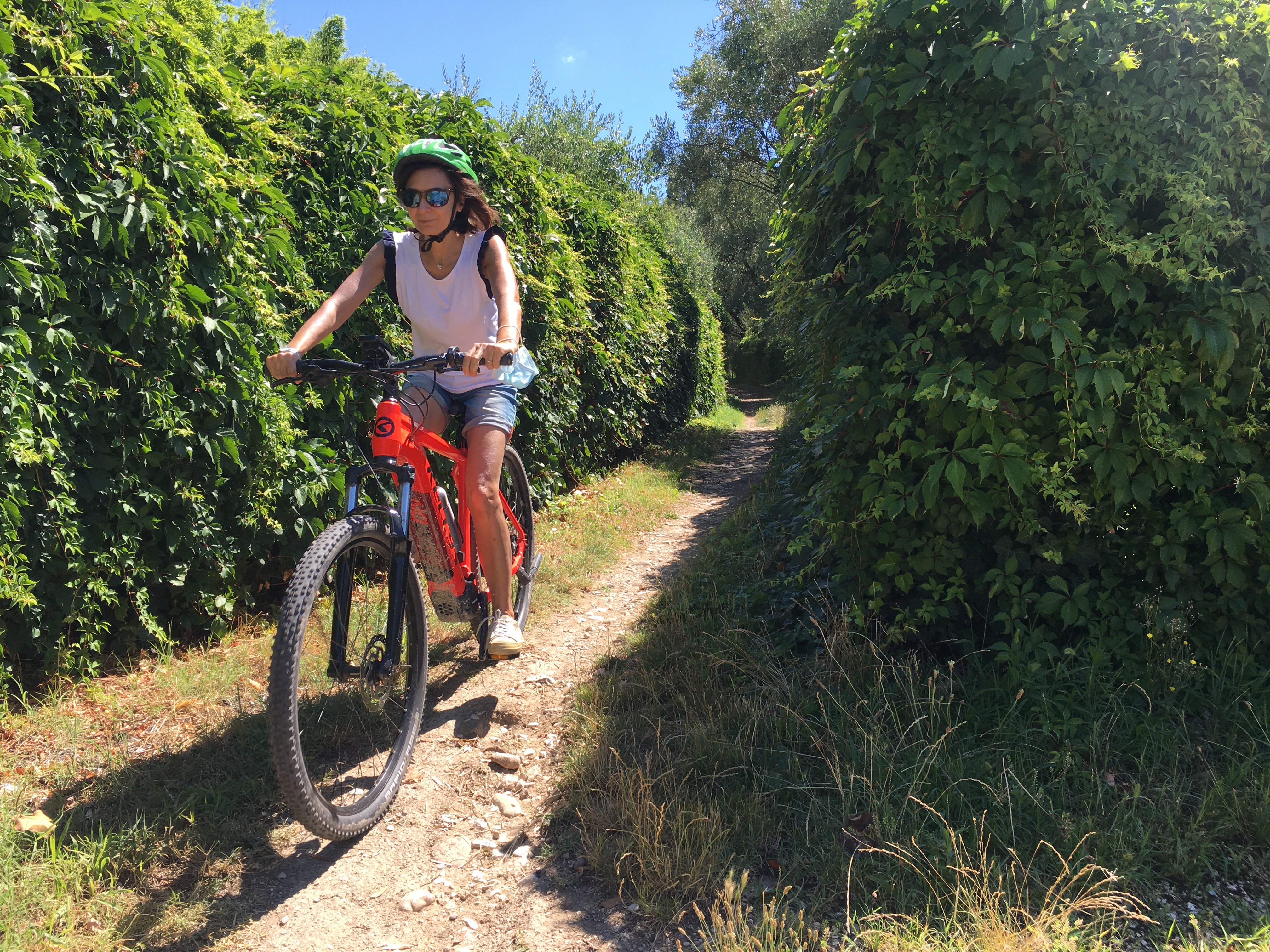 E-Bike tour with wine tasting from Polpenazze - Photo 4