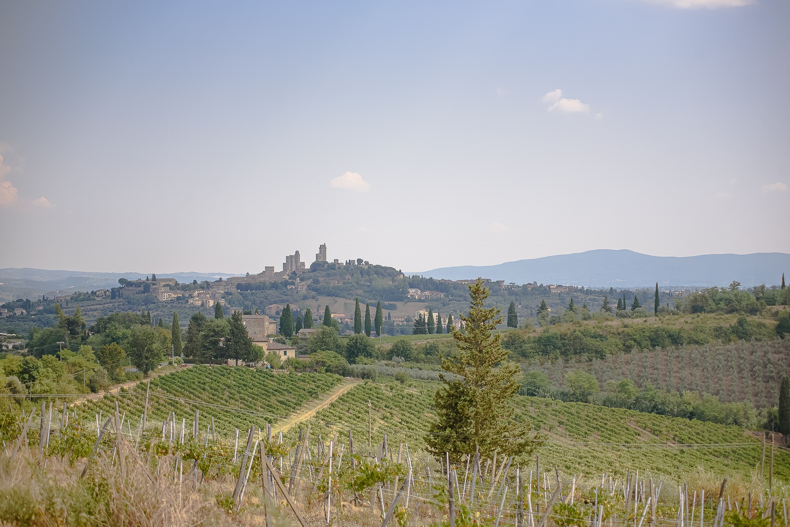 Small-Group Winery Tour with Tasting and Dinner in Chianti - Photo 137