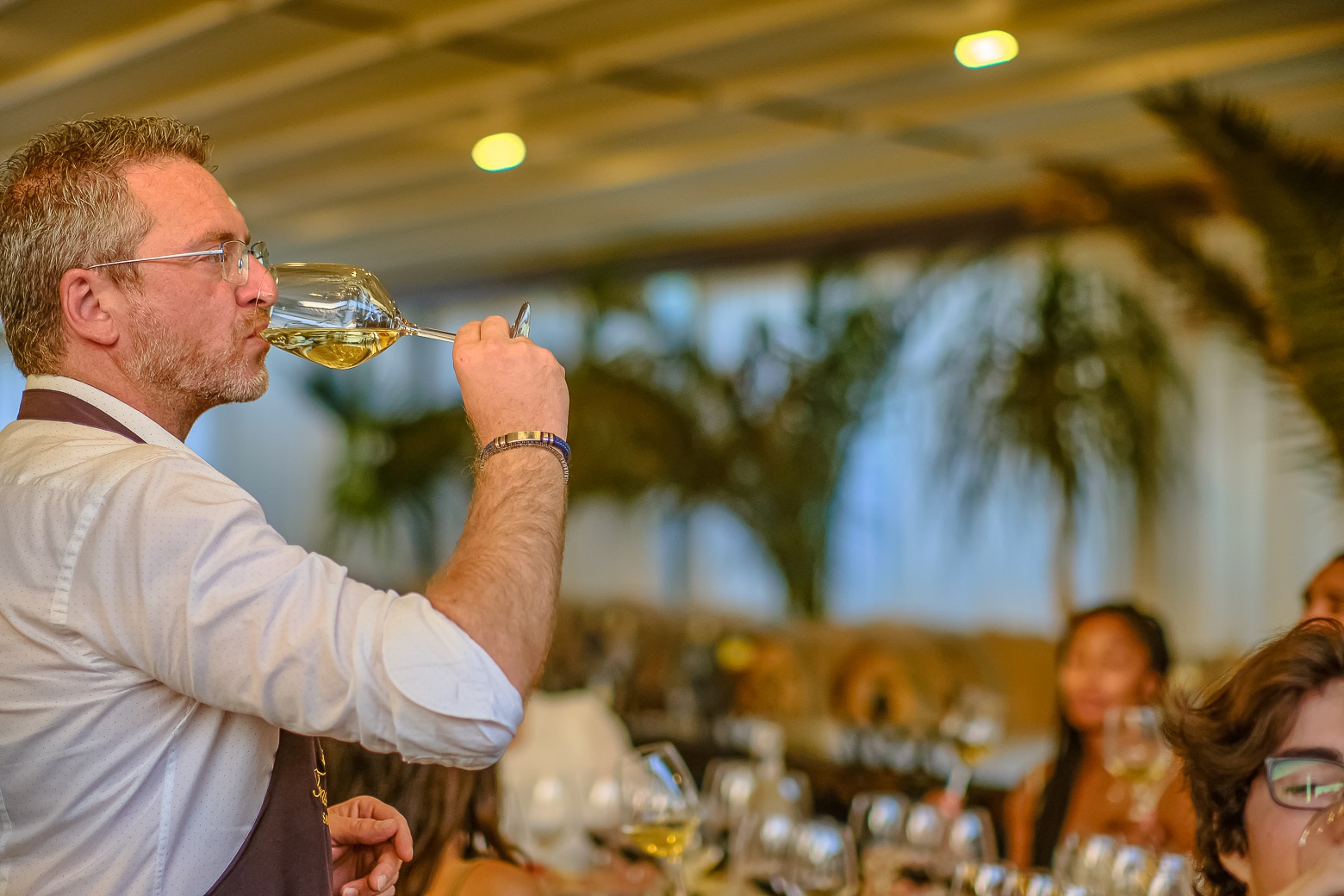 Small-Group Winery Tour with Tasting and Dinner in Chianti - Photo 88