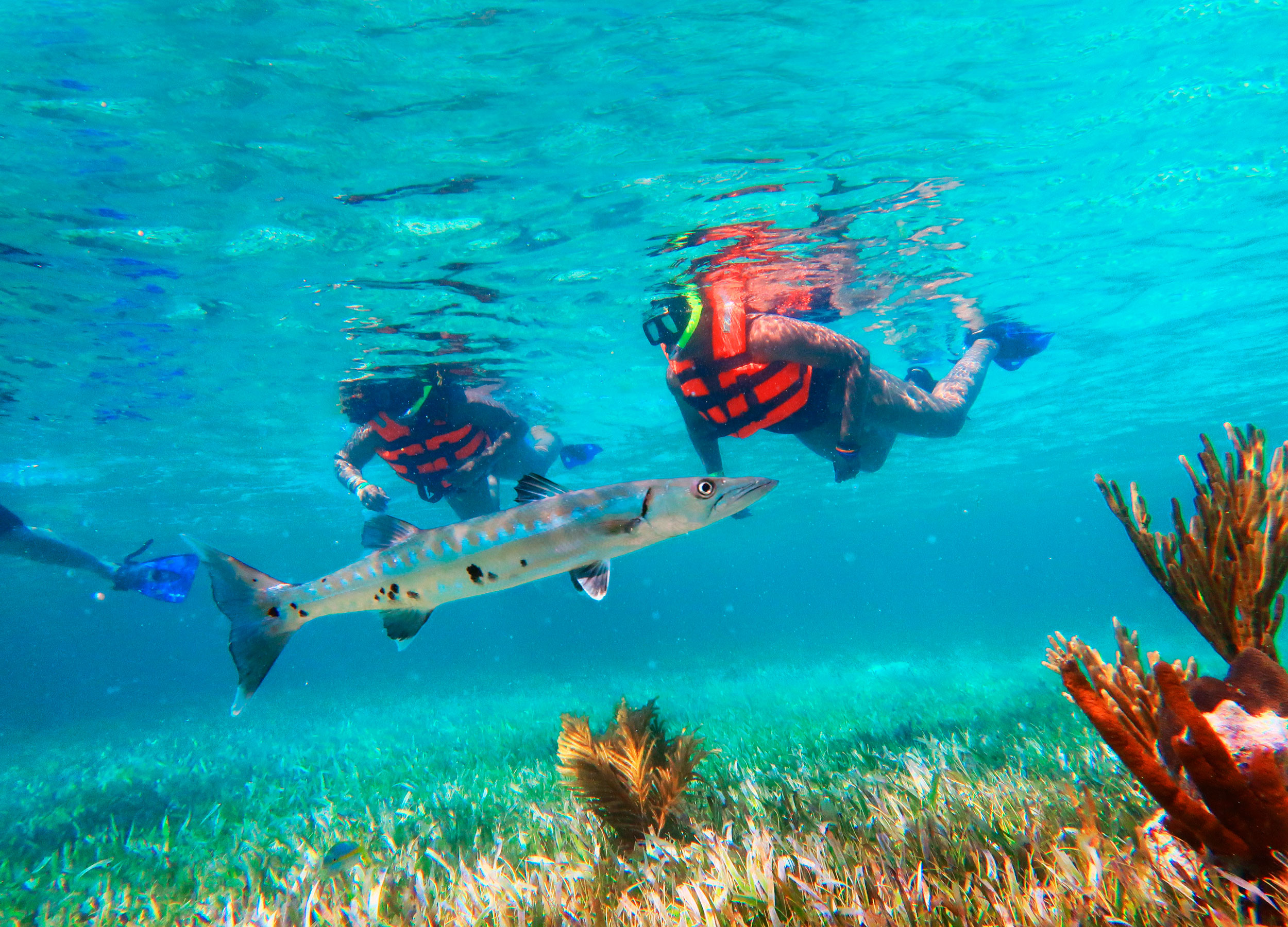 Super Combo 1 Shared ATV (Snorkeling Adventure + Exteme Adventuring) — 24/26
