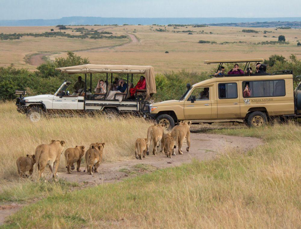 11-Day Kenya Safari & Double Gorilla Trekking – photo 2