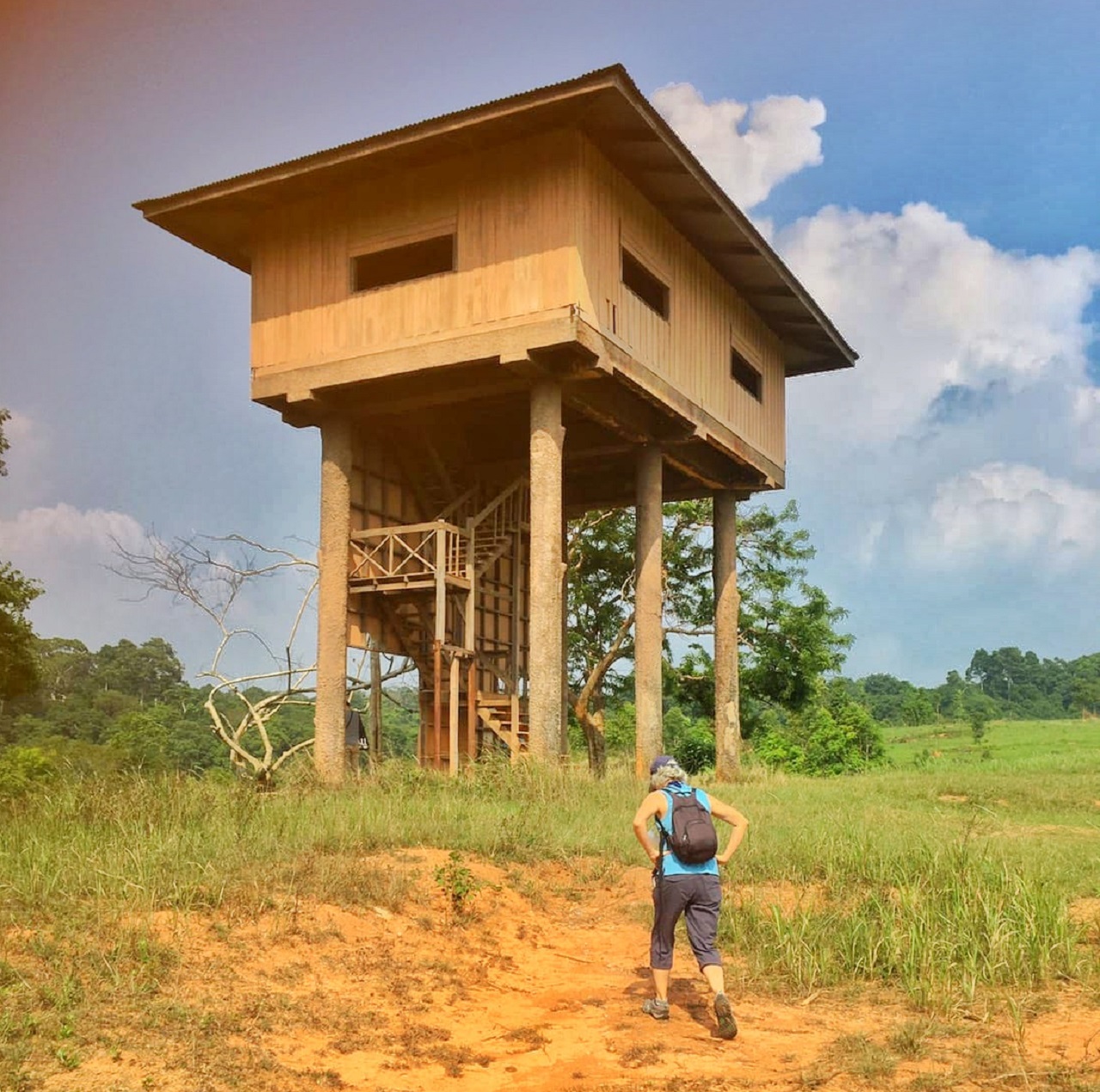 Khao Yai National Park Tour with Waterfalls from Bangkok: Semiprivate or Private Option with Pickup
 - Accommodations in Bangkok