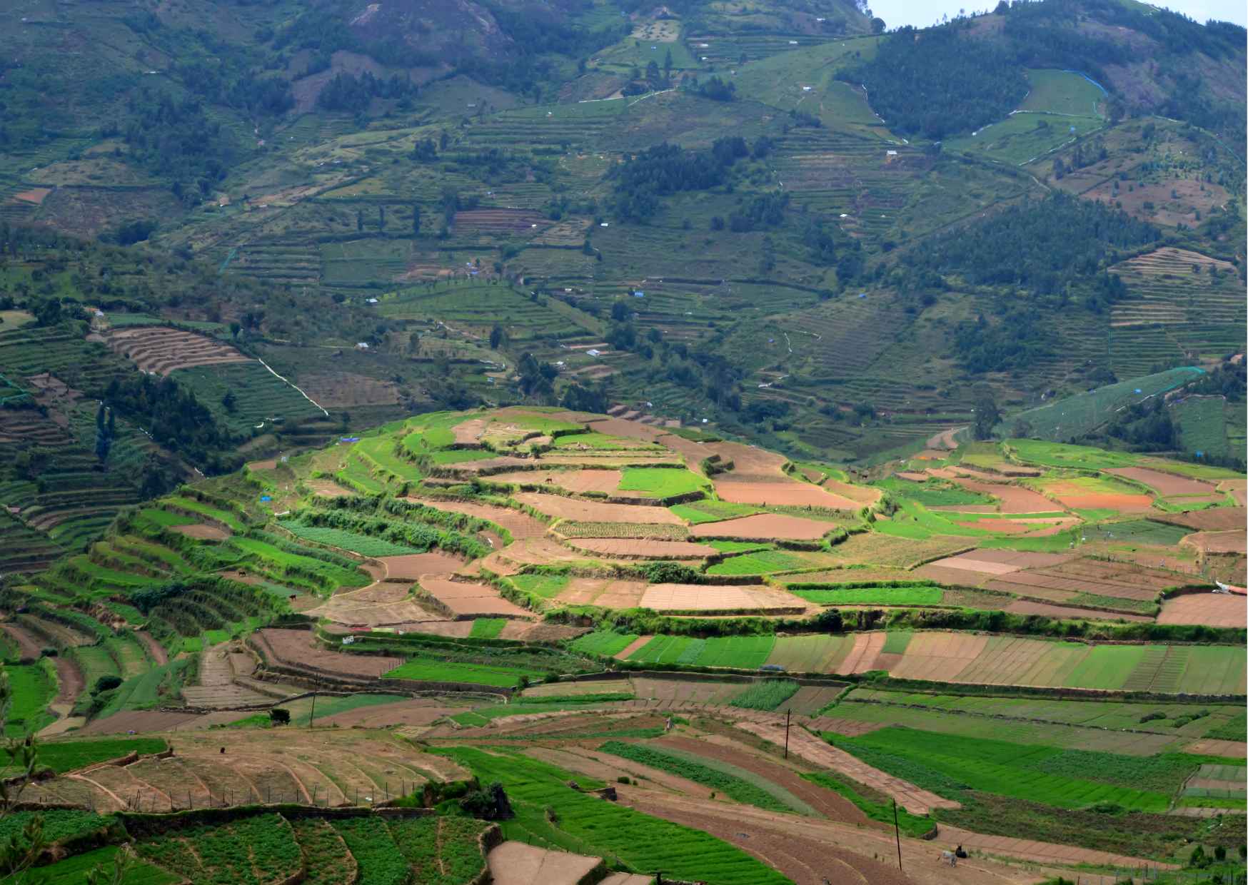Day Trip to Kodaikanal (Guided Sightseeing Tour by Car from Madurai) - Photo 8