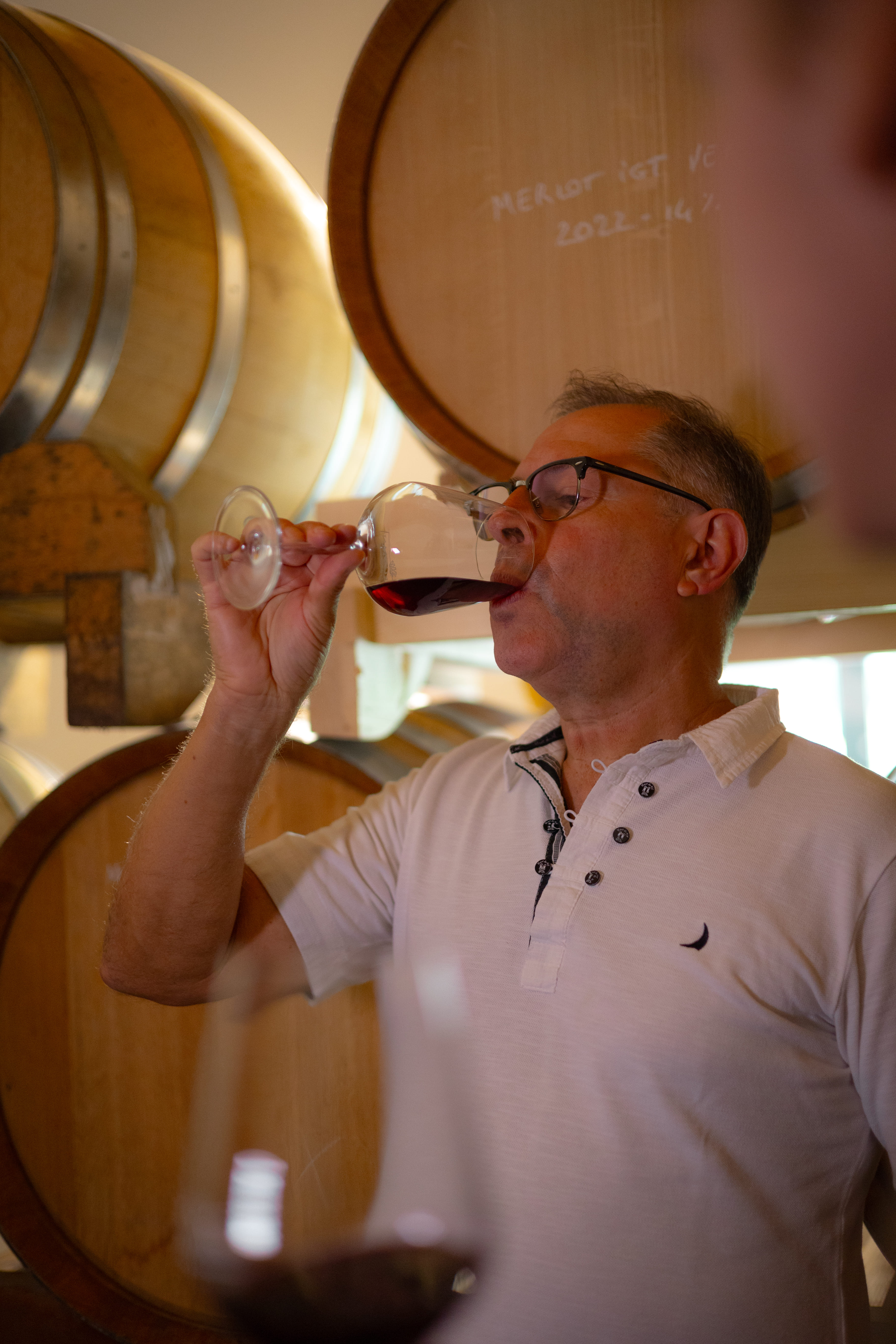 From Vence: Olive Oil & Wine in the Euganean Hills  - Photo 8