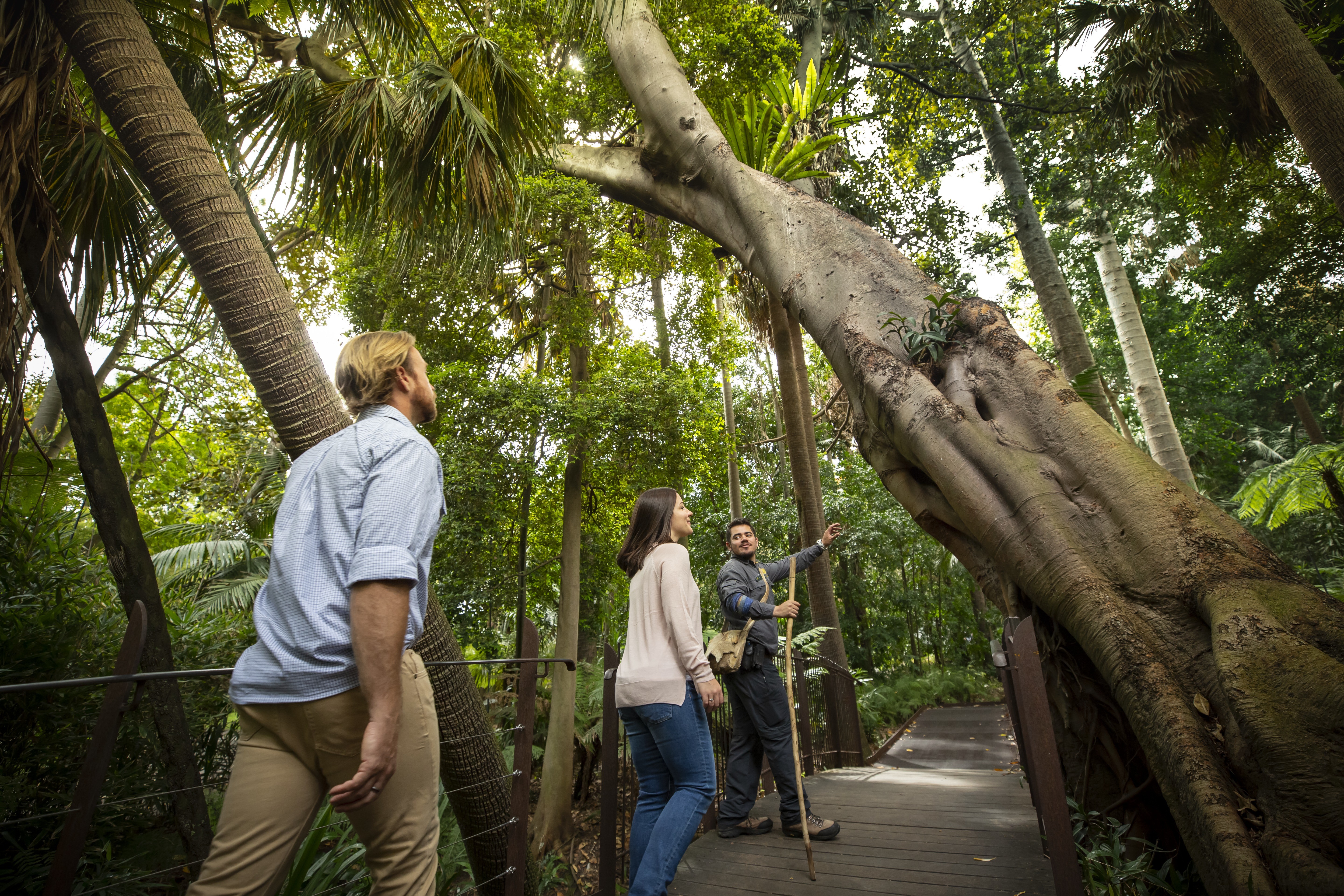 Aboriginal Heritage Walk
