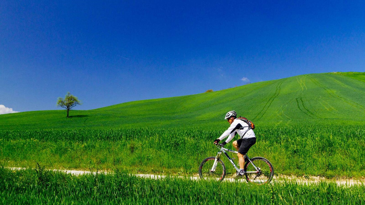 Tuscany e-bike tour from Siena - Photo 10