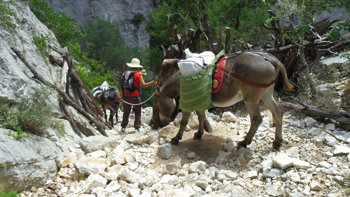 From Dorgali: 3-day donkey trekking in the Gulf of Orosei - Photo 8