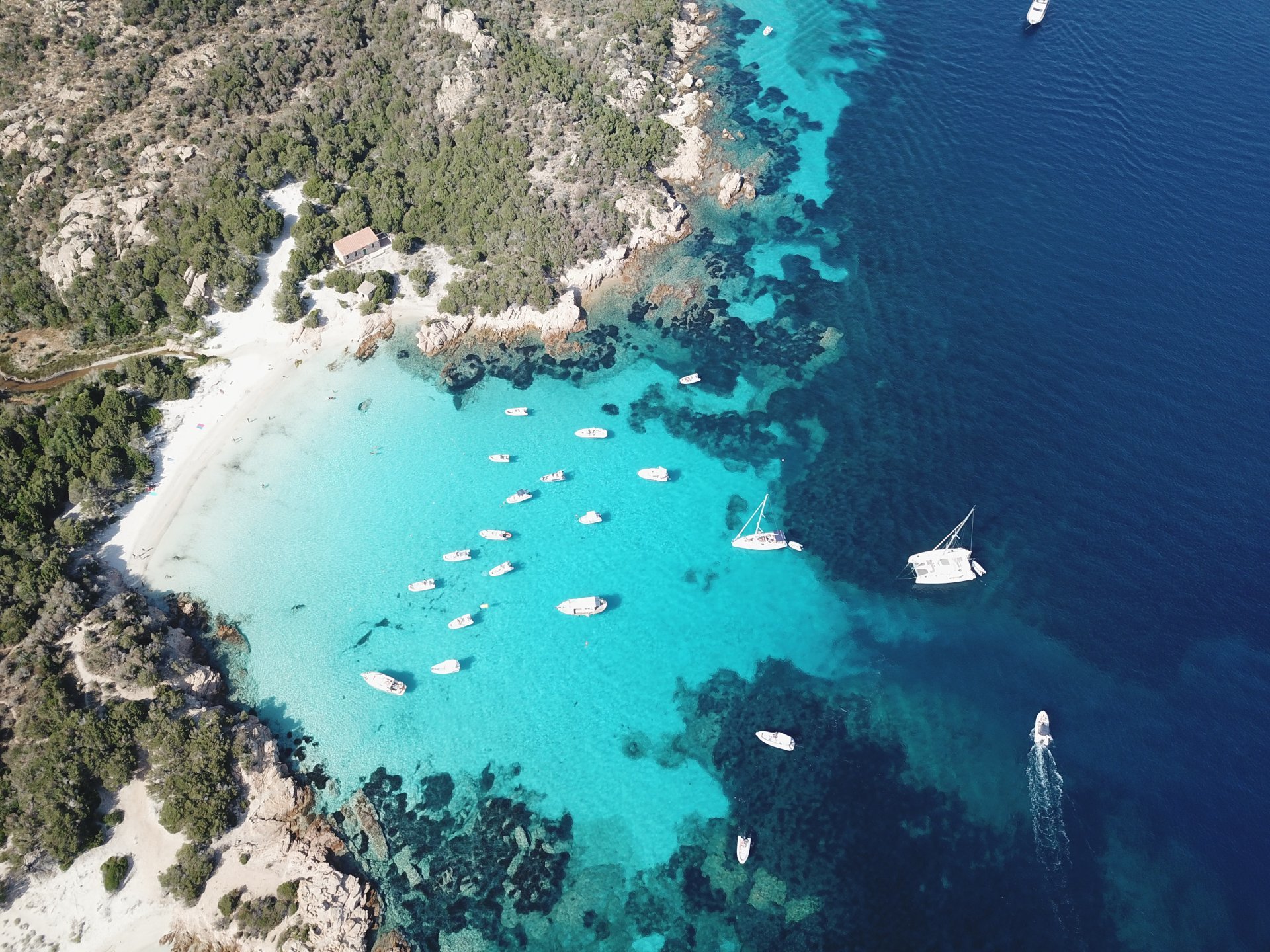 Palau or La Maddalena: 4-hour RIB tour of the La Maddalena Archipelago - Photo 11
