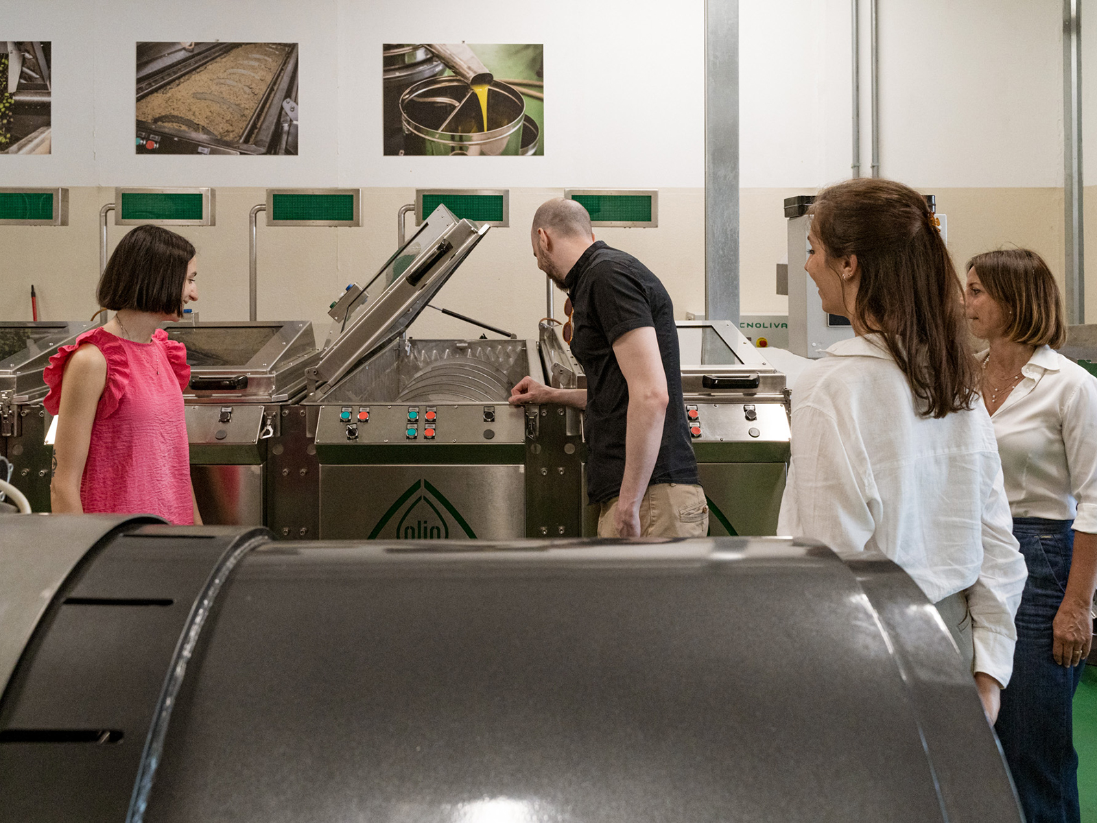 Lake Garda Olive Oil Tour and Tasting Experience - Photo 6