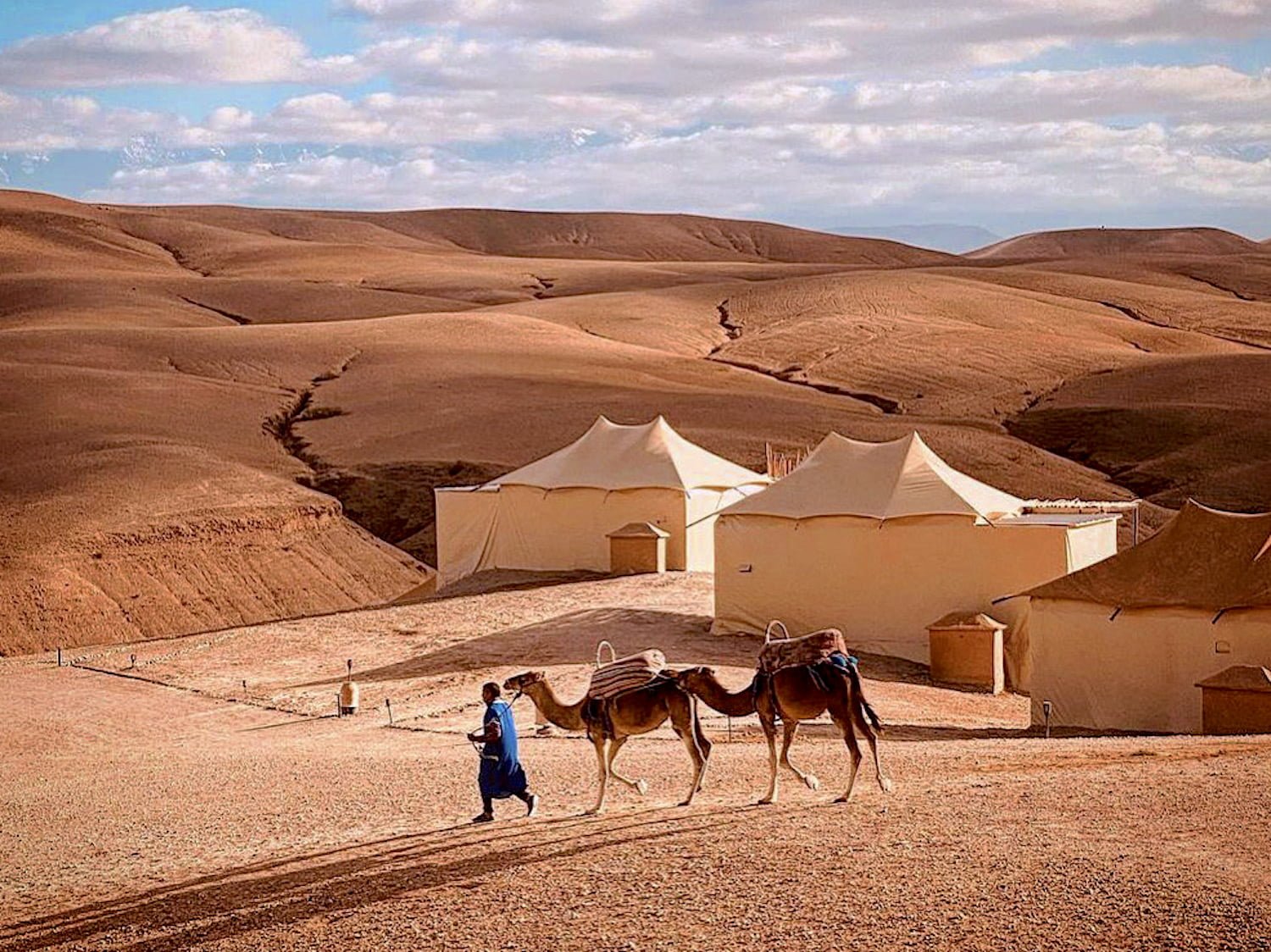 Desert Agafay and High Atlas mountain with free camel ride experience From Marrakech