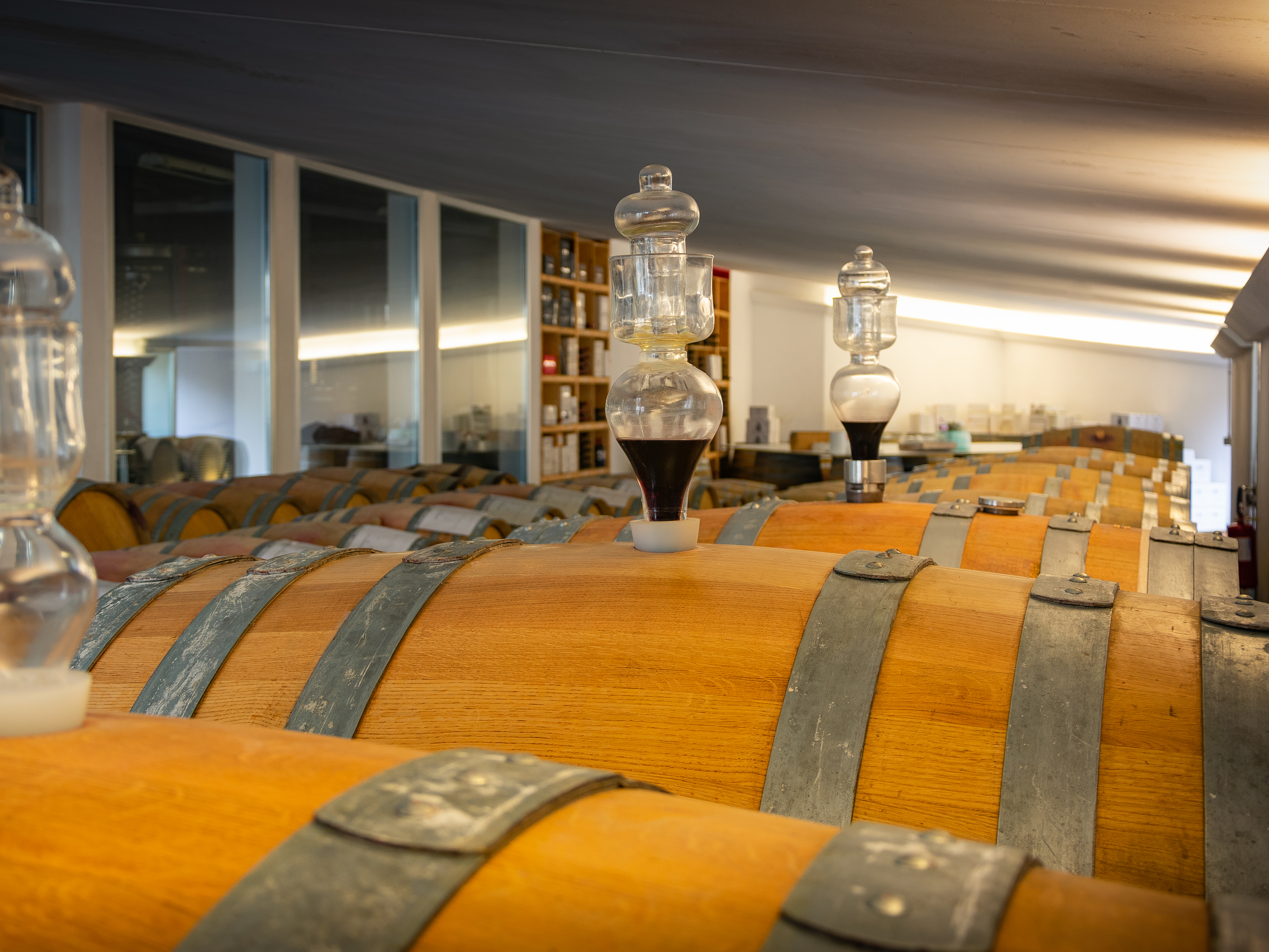Rimini: Wine Experience – Guided Cellar & Vineyard Tour with 5 DOC Wines - Photo 6
