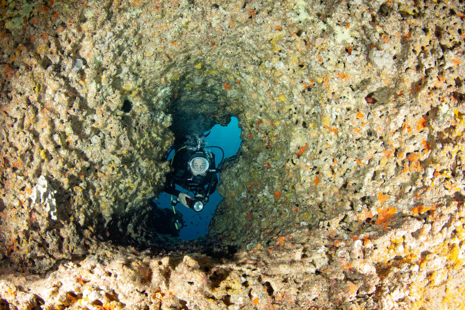 Bosa: diving baptism - Photo 20