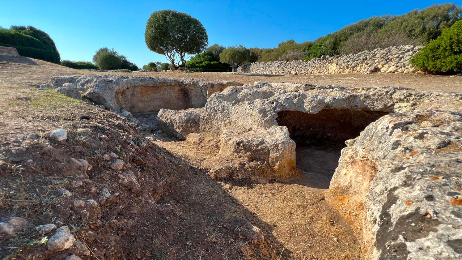 Porto Torres: archaeological tour in Monte d'Accoddi and Su Crucifissu Mannu - Photo 13
