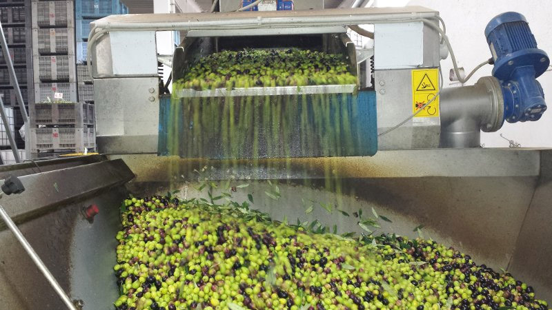 Villa Castelli: Highlights Walking Tour w/ Olive Oil Tasting - Photo 6