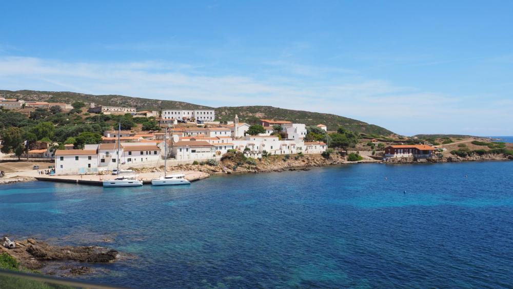 ASINARA ISLAND TOUR - Full Day (Off Road Tour in the National Park) - Photo 22