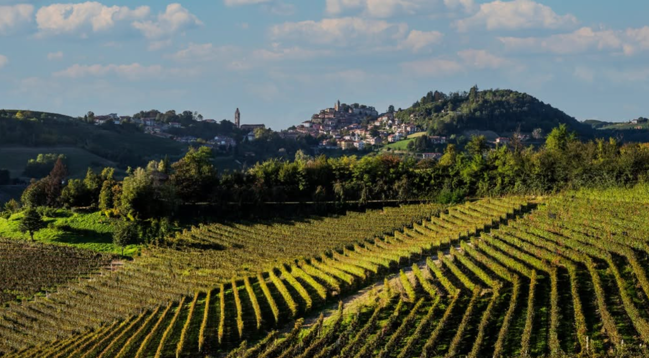 La Madama: A Journey through Piedmont's Tradition and Wines - Photo 11