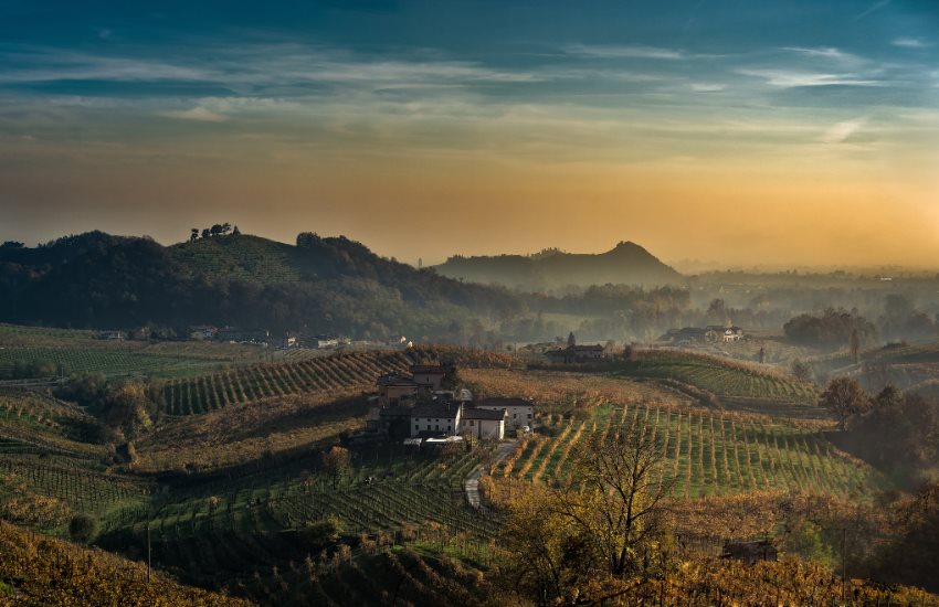 Barolo Wine Tour with Lunch from Milan  - Photo 2