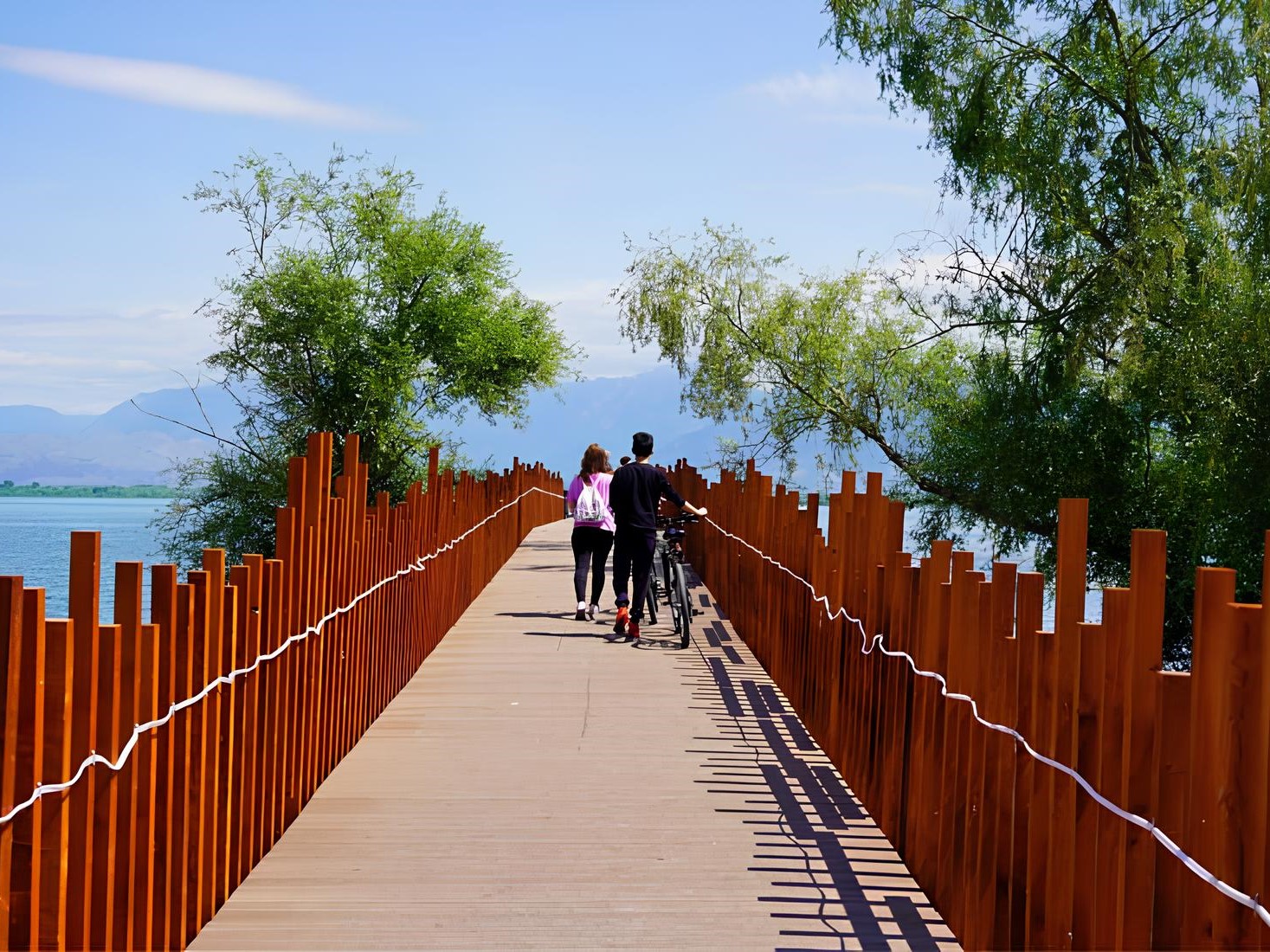 Shkoder, Rozafa Castle and Skadar Lake from Tirana - Small Group - Photo 10