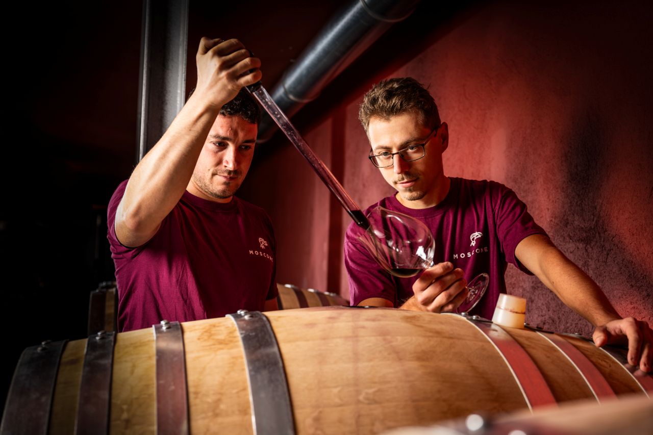 Il Blagueur: A Journey through Barolo's Finest Vintages - Photo 13