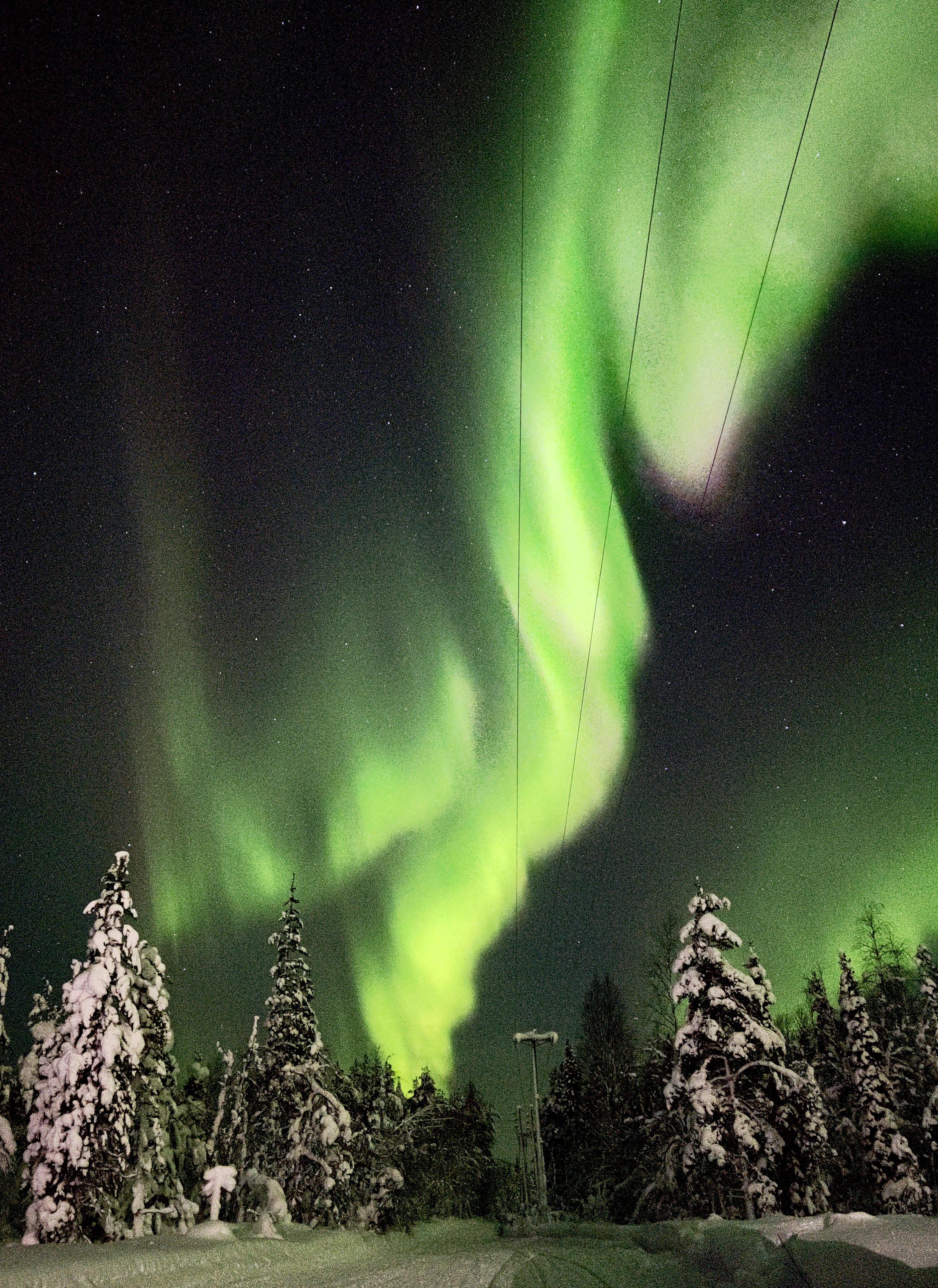 Private Midnight Snowshoe Trip