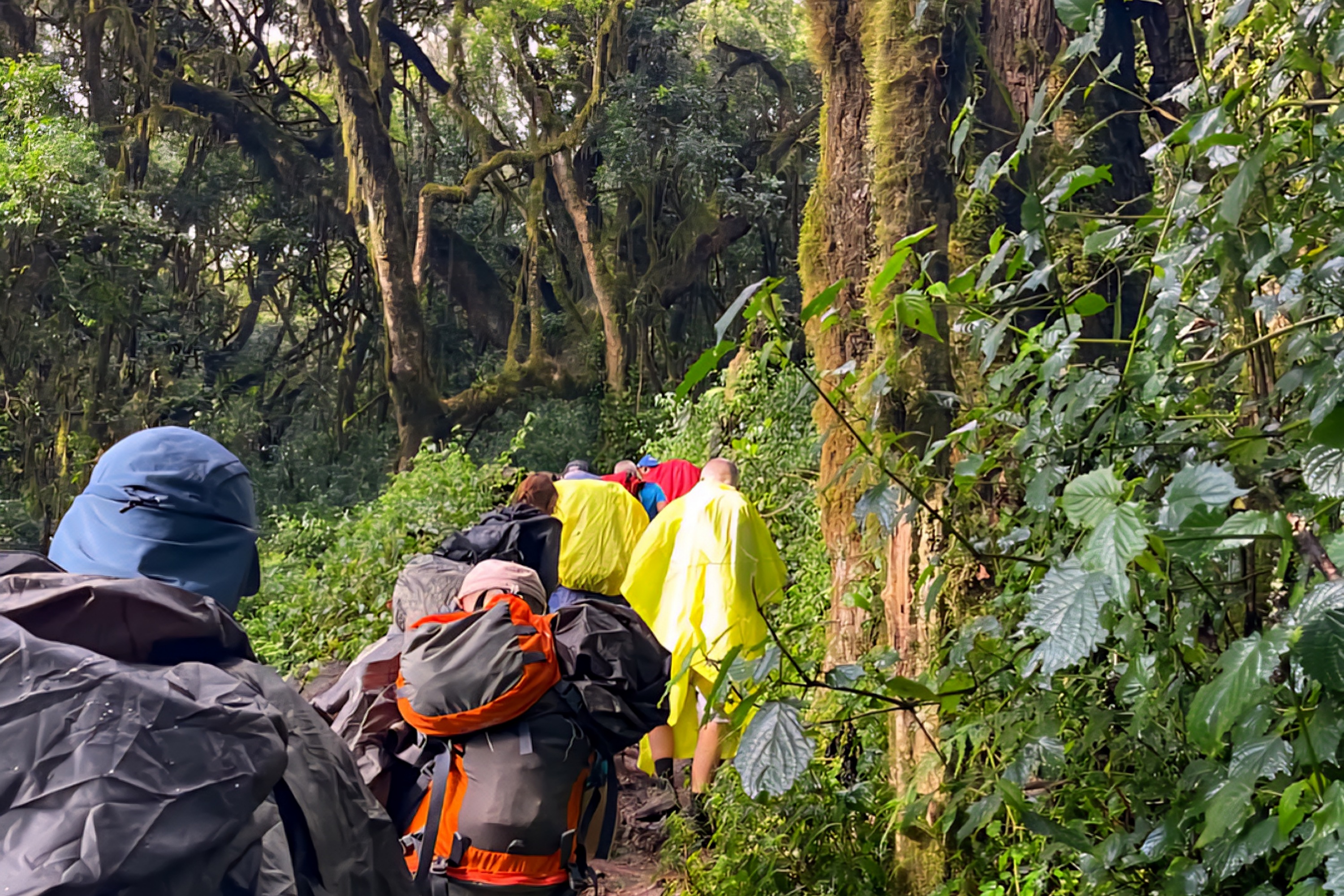 6-Day Mount Kilimanjaro Trek: Marangu Route Classic Hut Accommodation