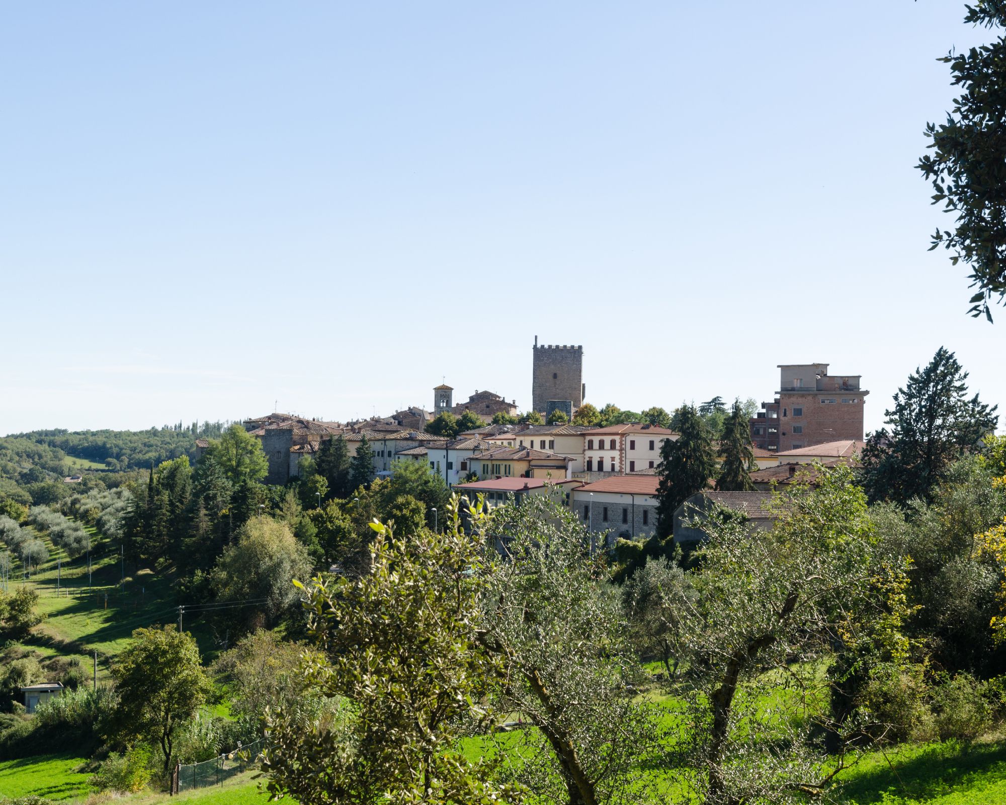 Private Full Day Tour to Chianti area, with wine tasting  - Photo 3
