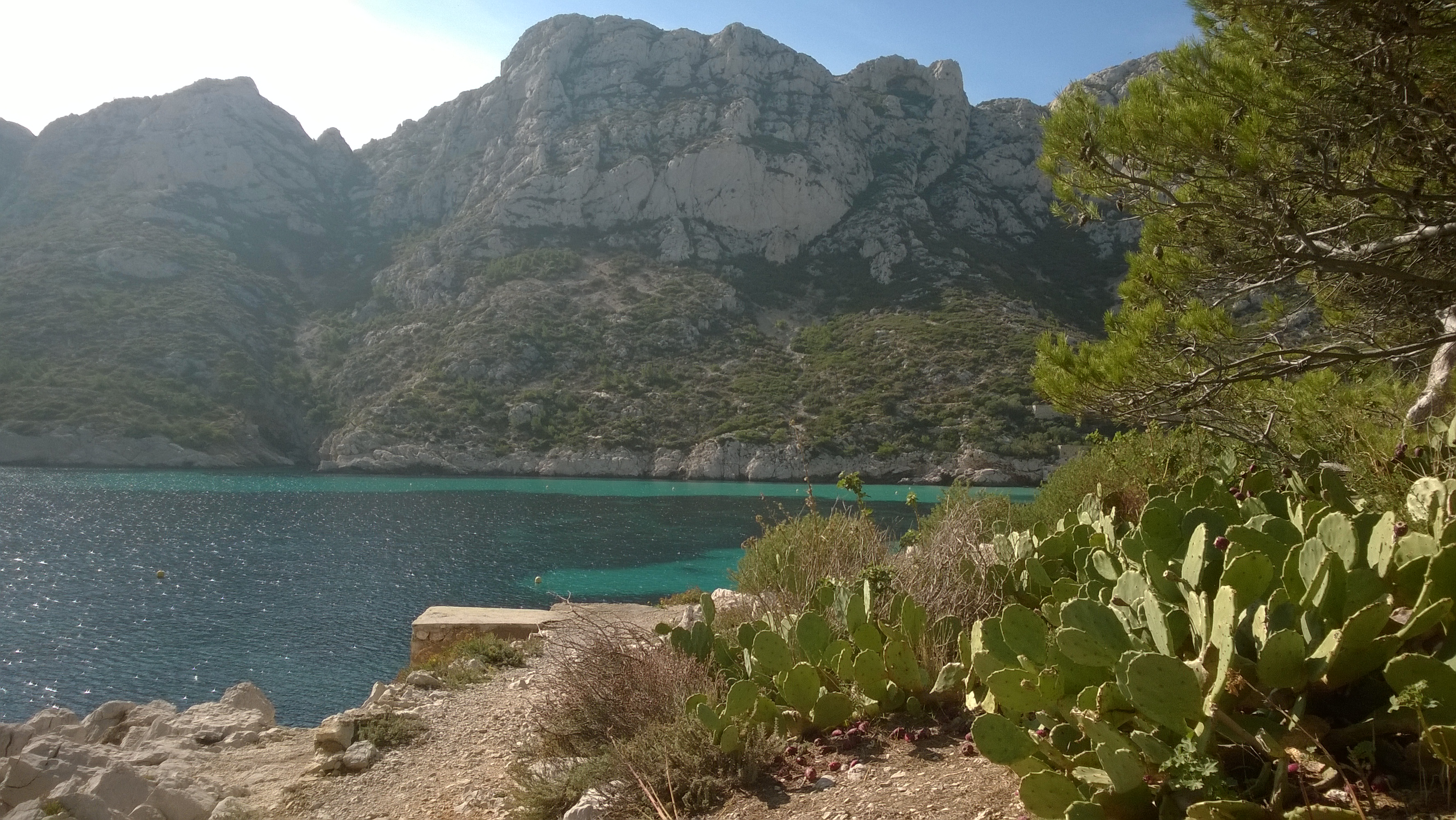 Hike with a Calanque expert - Photo 2