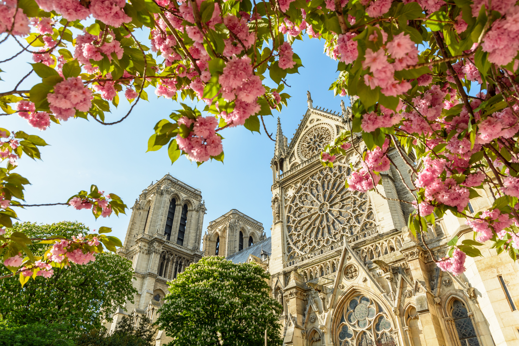 PRIVATE PARIS CITY TOUR half day -  Licensed Driver-Guide No inside guided visit Pick-up & drop off included - Photo 8