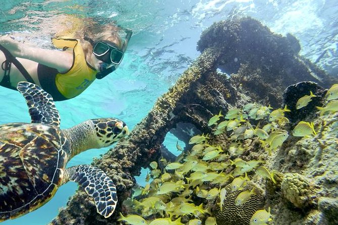 Cancun City Pass ( Choices) - Photo 7
