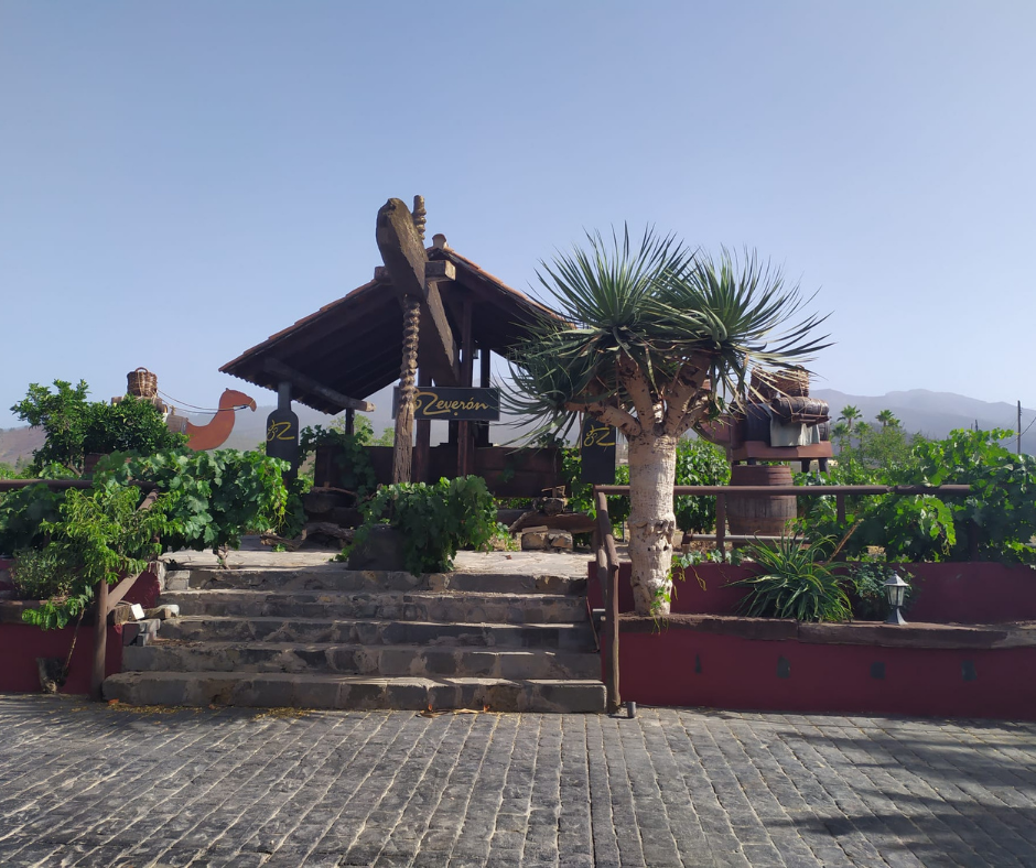 Teide con visita a bodega - Photo 4