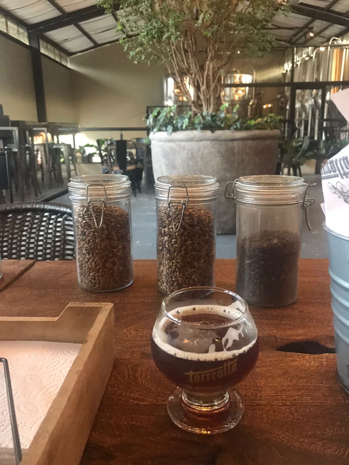  Descubre la emoción de vivir la naturaleza en el Municipio de El Retiro.