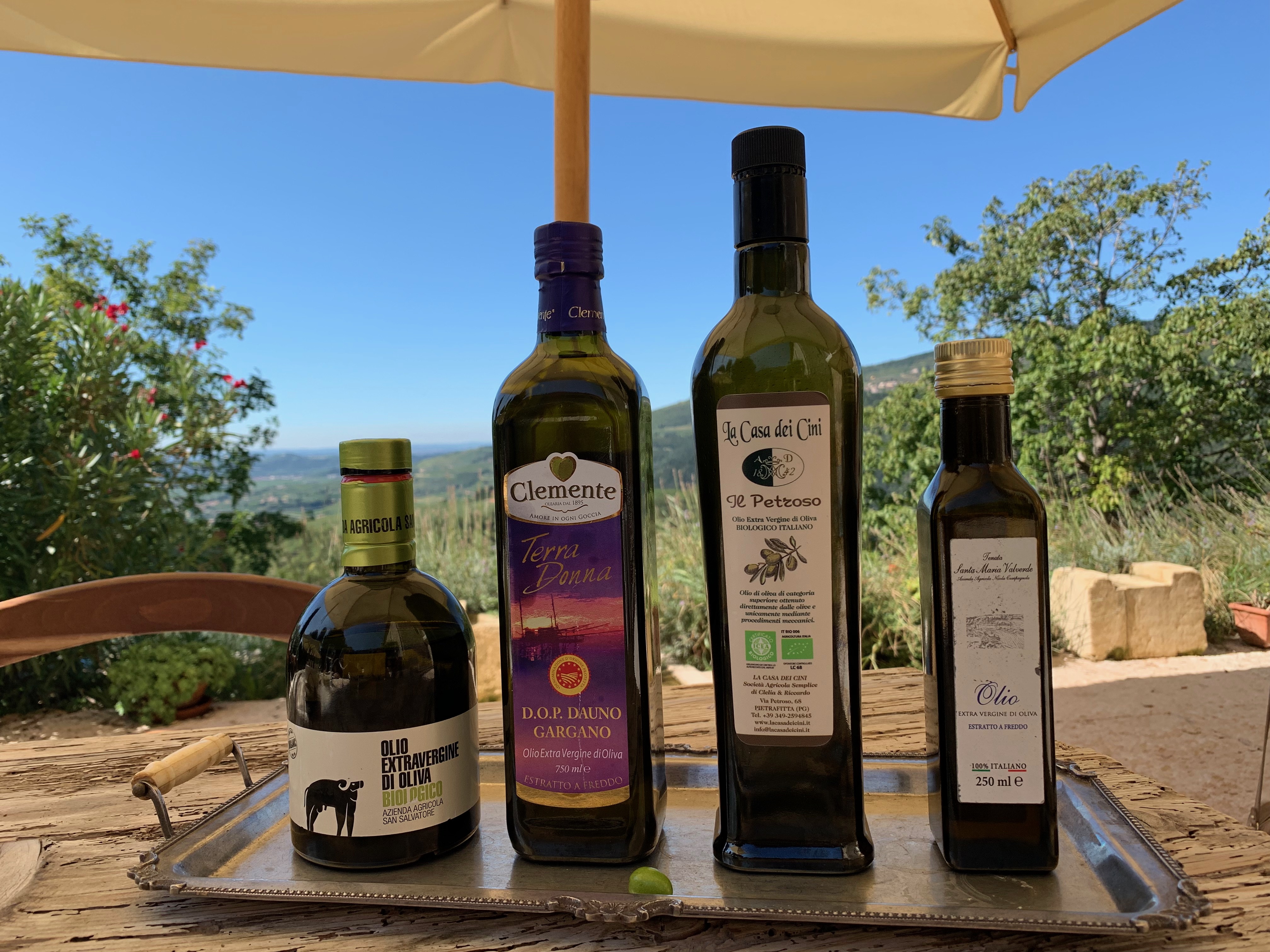 Discover DOP Olive Oil - Photo 7