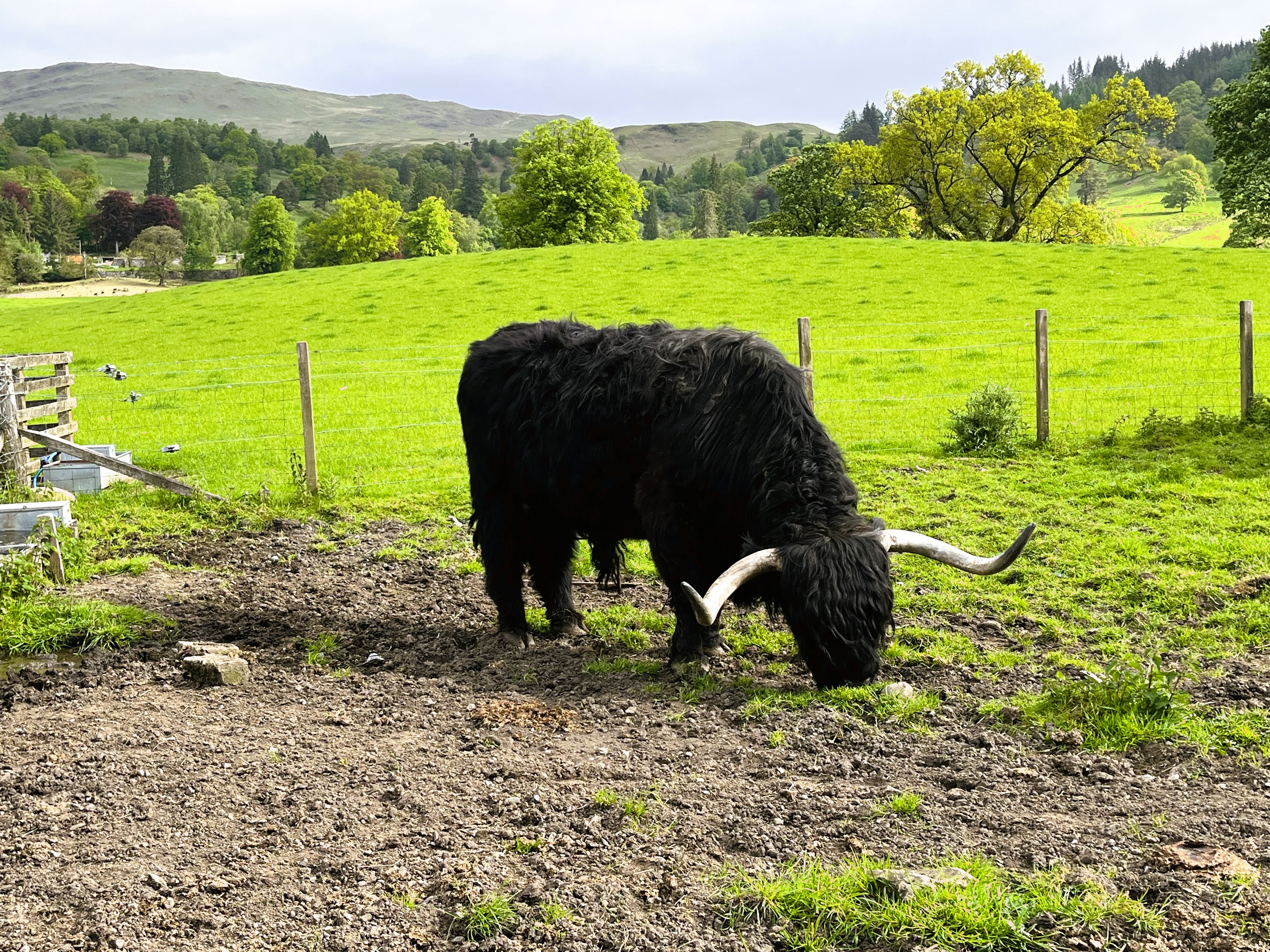 Loch Ness, Glencoe & The Highlands (SPANISH) – photo 5