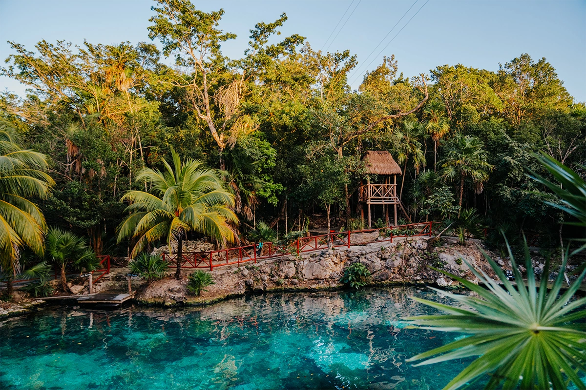 Snorkel VIP Express en 4 Cenotes Paradisíacos en Casa Tortuga 2