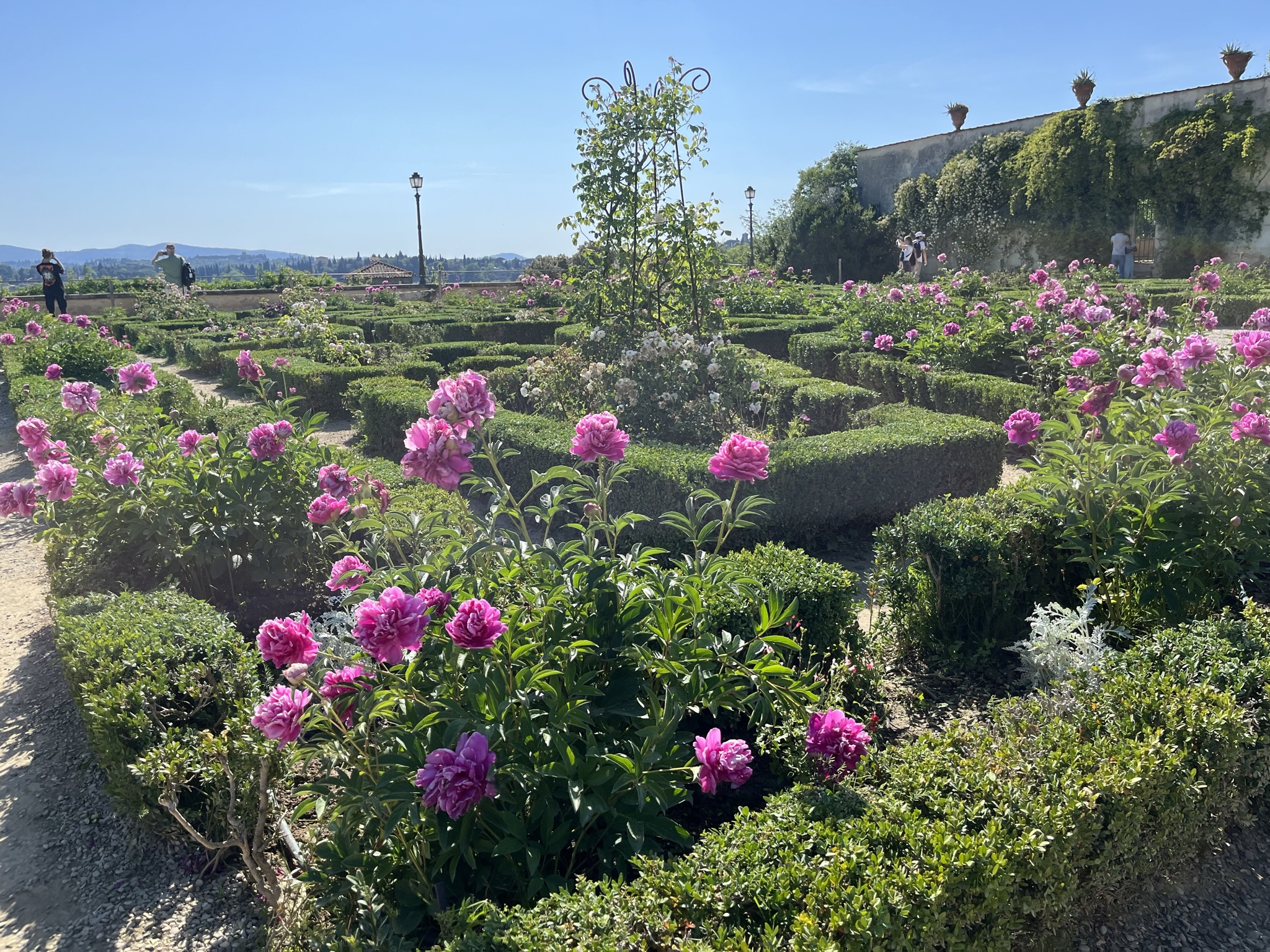 Florence Museum Pass – Accademia, Uffizi, Pitti Palace & Gardens with Audio Guide - Photo 10