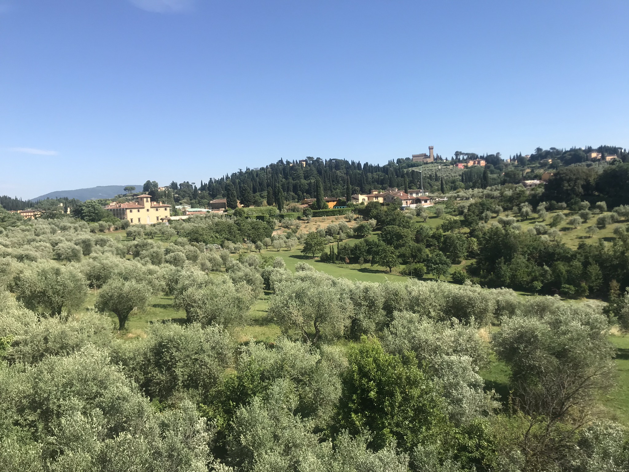 Florence: David, Pitti Palace, & Gardens Combination Tickets - Photo 34