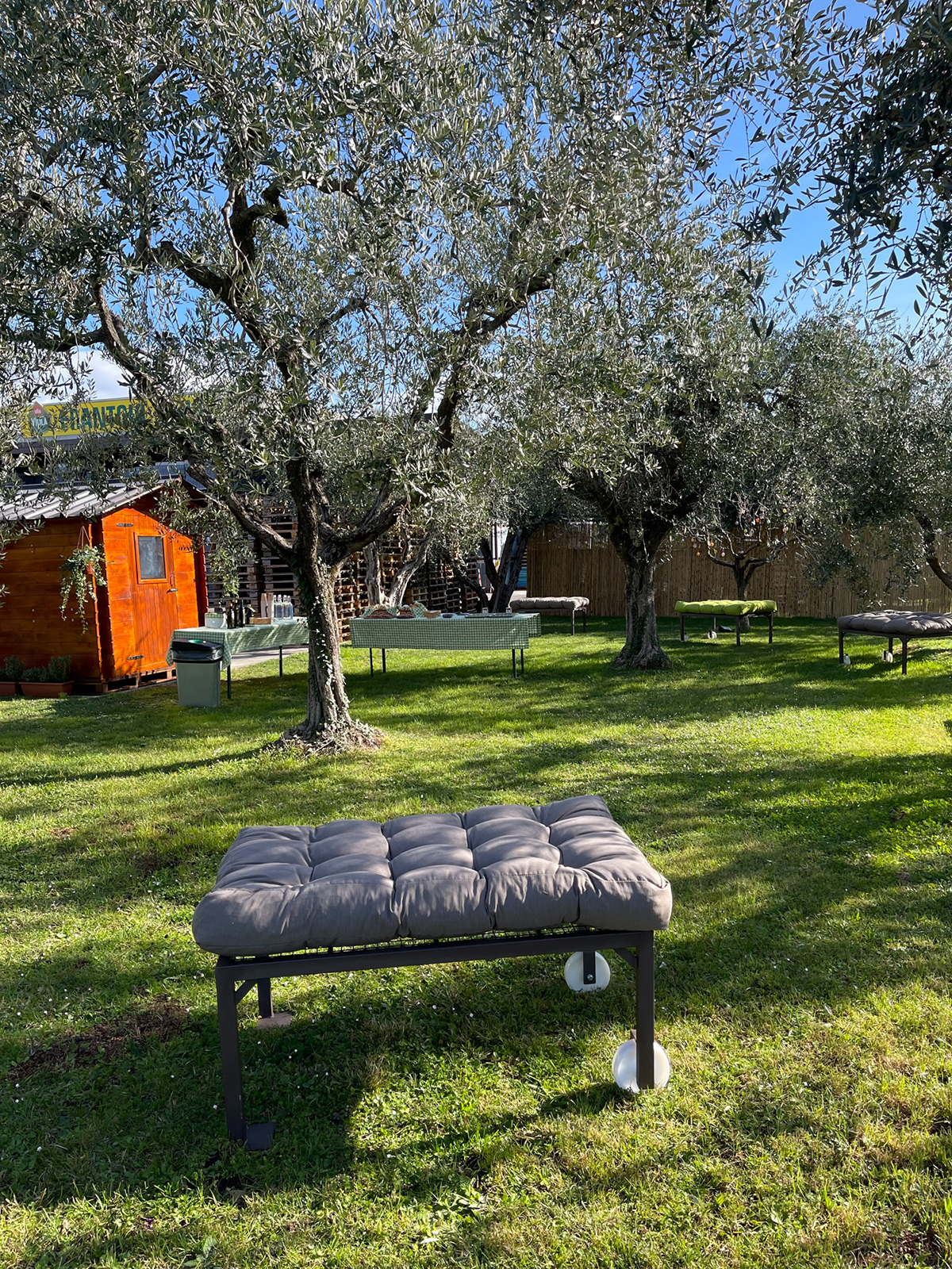 Lake Garda Olive Oil Tour and Tasting Experience - Photo 13