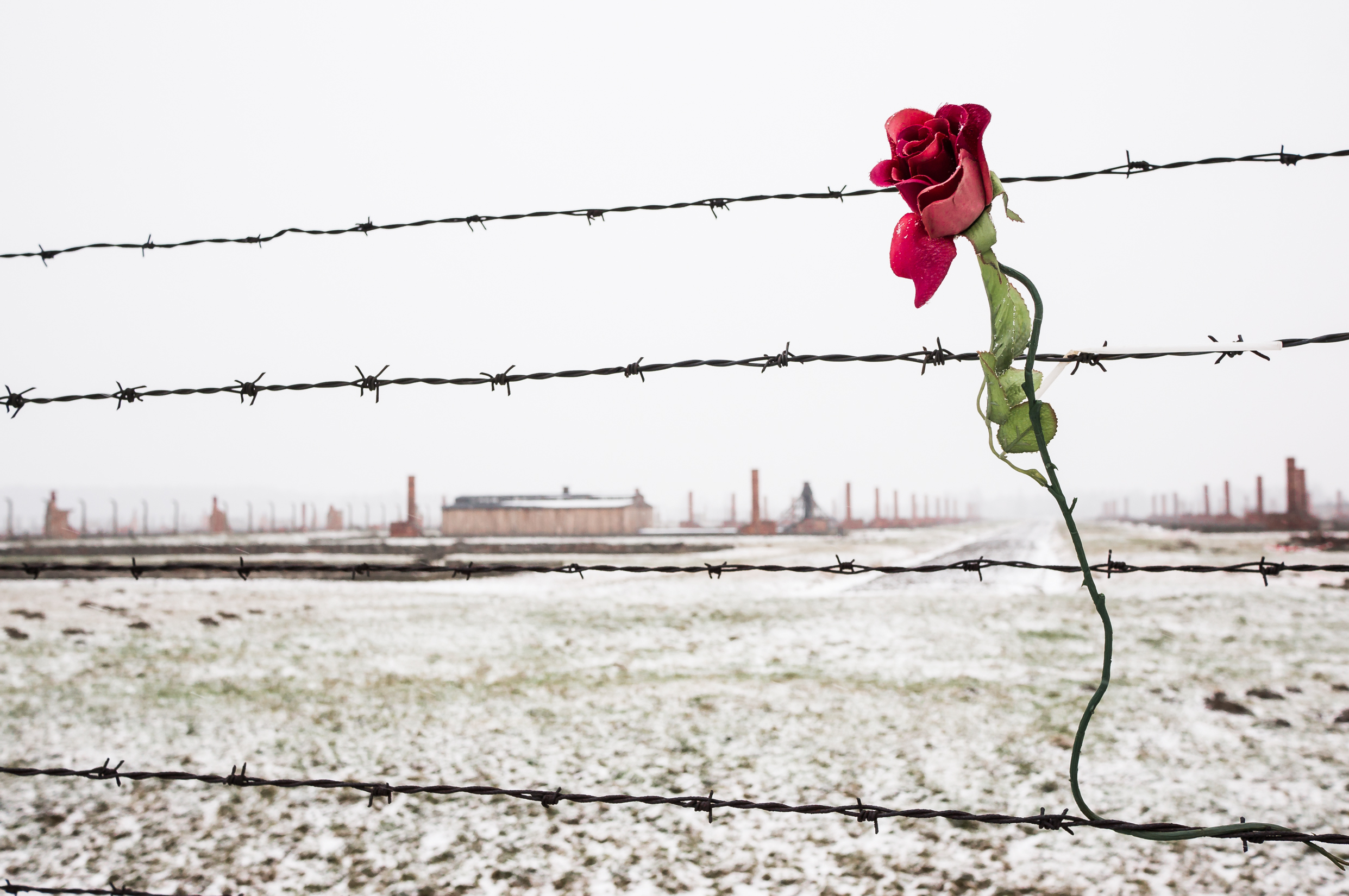 Auschwitz-Birkenau Memorial and Wieliczka Salt Mine 1 Day Guided Tour