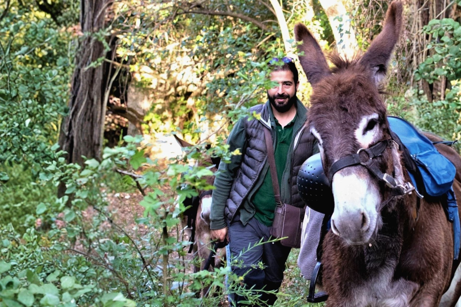 Sassari: hiking with donkeys in Cargeghe and aperitif - Photo 3