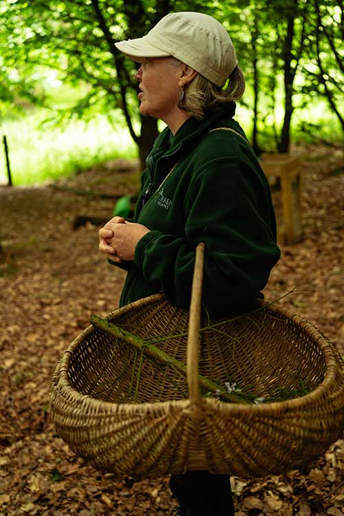 Adult Foraging Walk & Bushcraft Cookery Course for Beginners Near the Mourne Mountains – photo 2