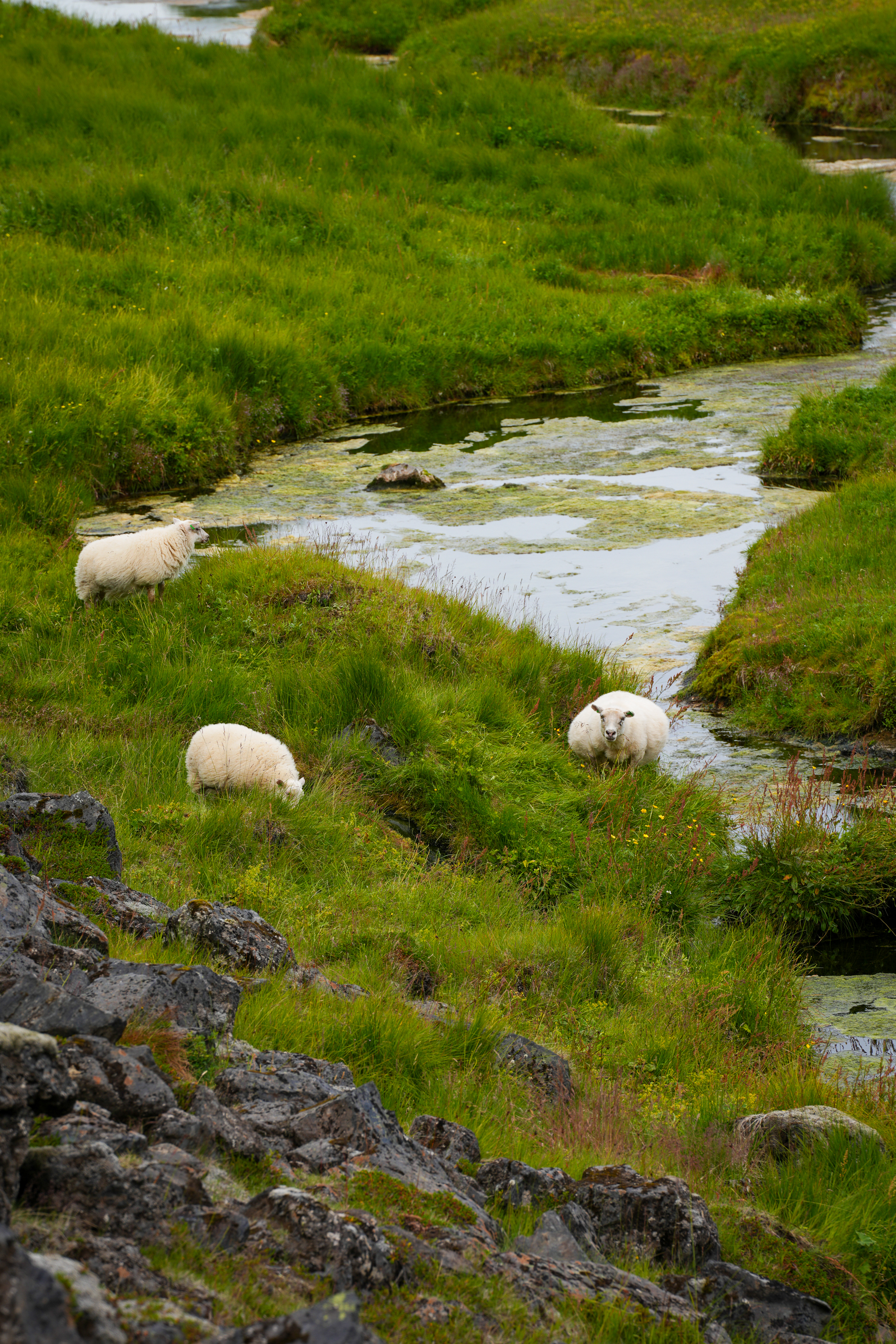 The Hidden Highlands - photo 9