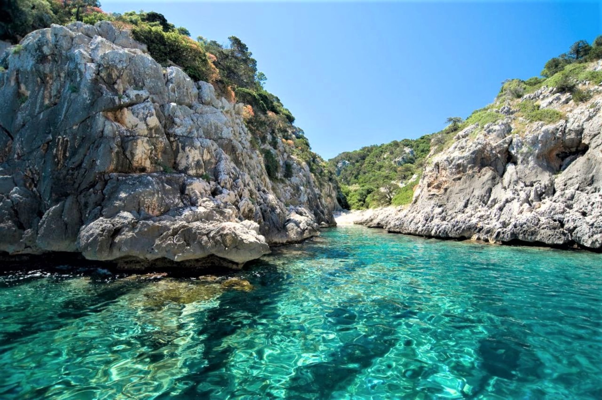 From Arbatax: RIB trip between Cala Luna and Cala Goloritzé - Photo 13