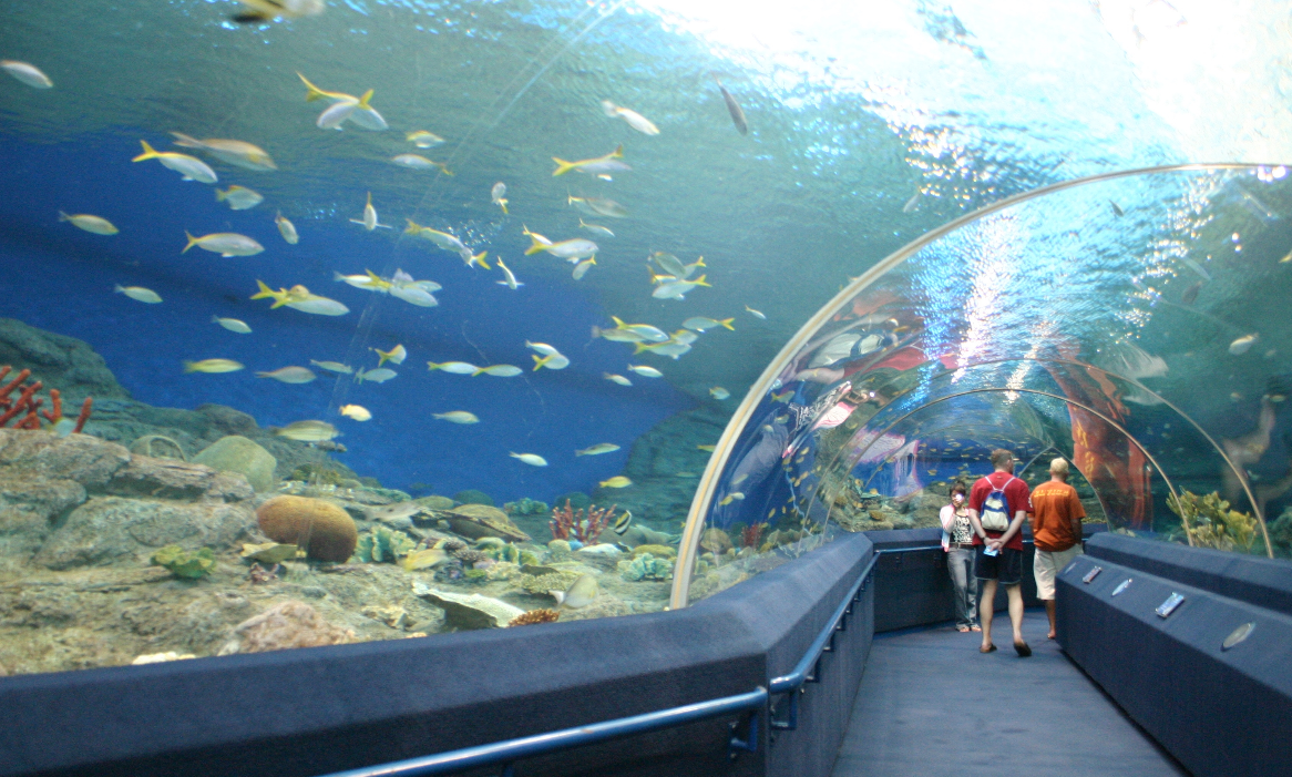 Entrada al mundo submarino de Pattaya