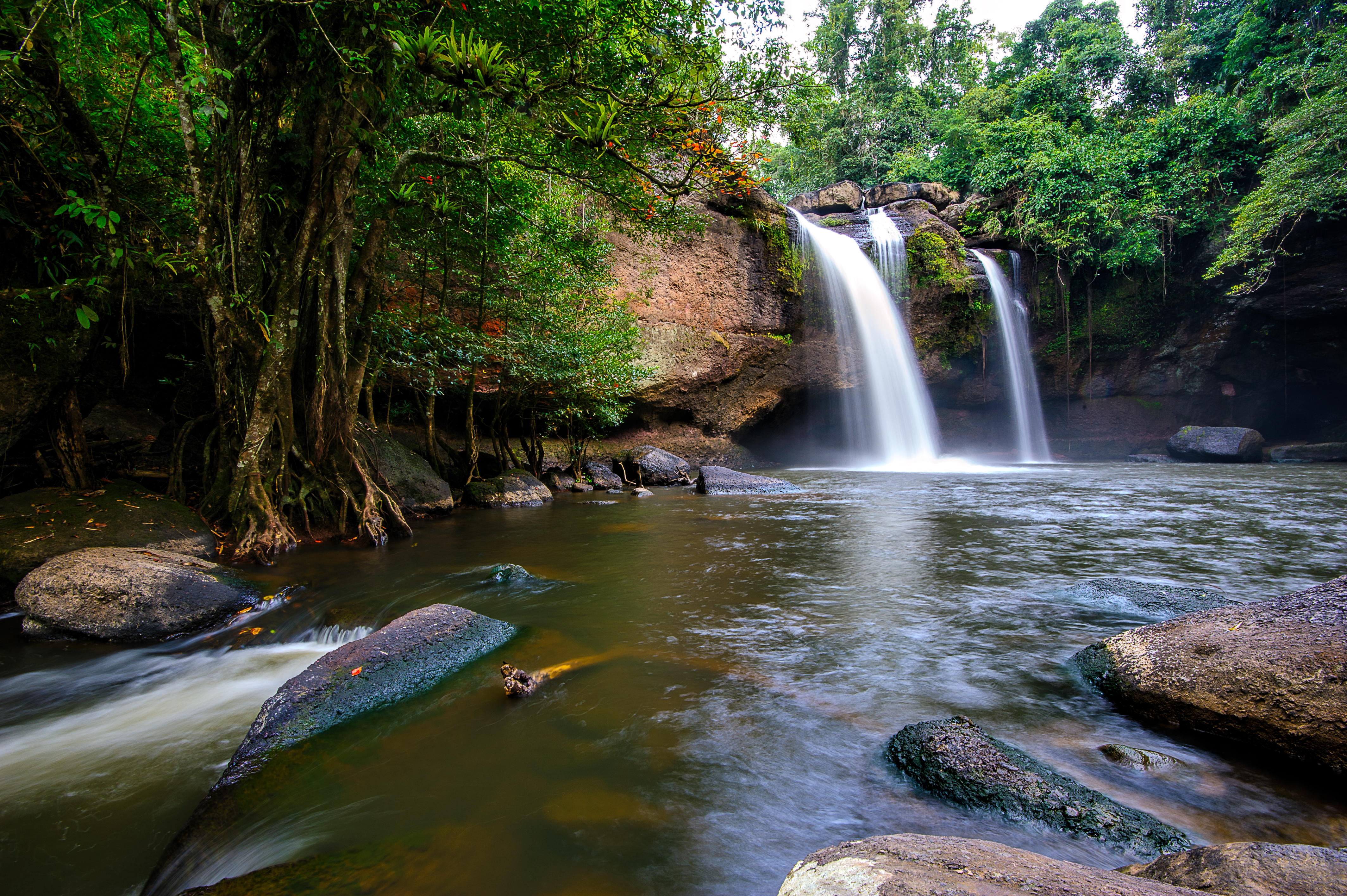 Khao Yai National Park Tour with Waterfalls from Bangkok: Semiprivate or Private Option with Pickup
 - Accommodations in Bangkok