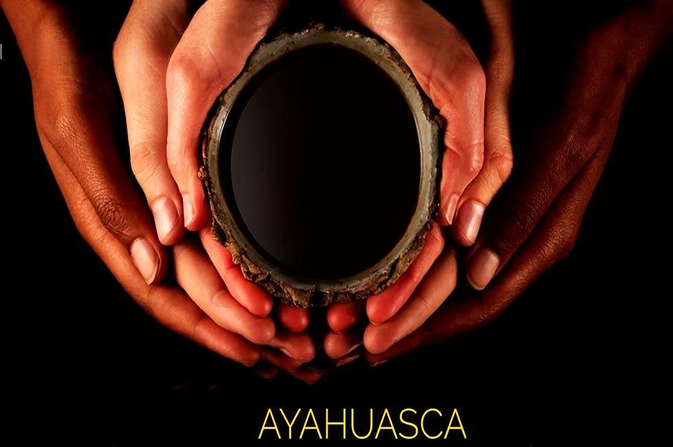 Cus-24 : Ayahuasca Discover - 1 Día de Autodescubrimiento