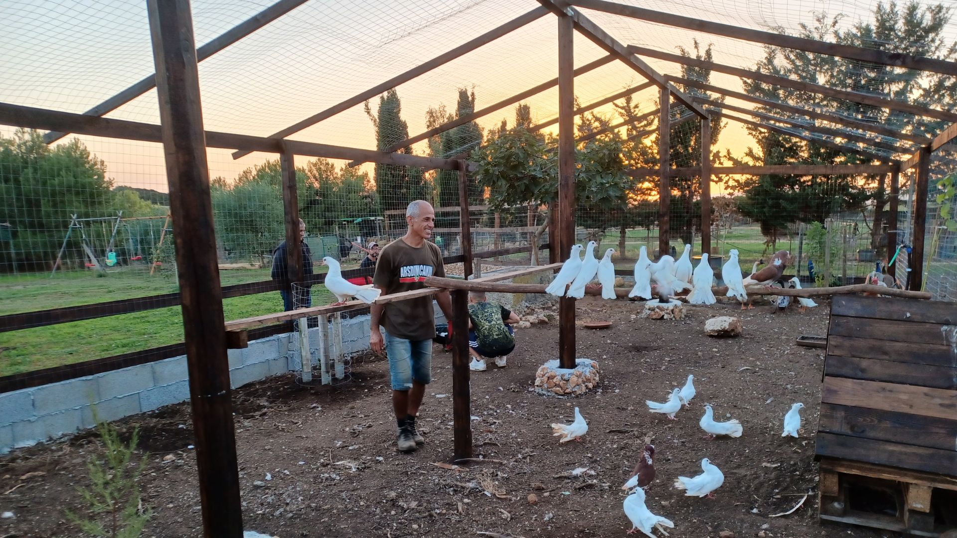 Sassari: visit to the Roman Castrum and the educational farm - Photo 17